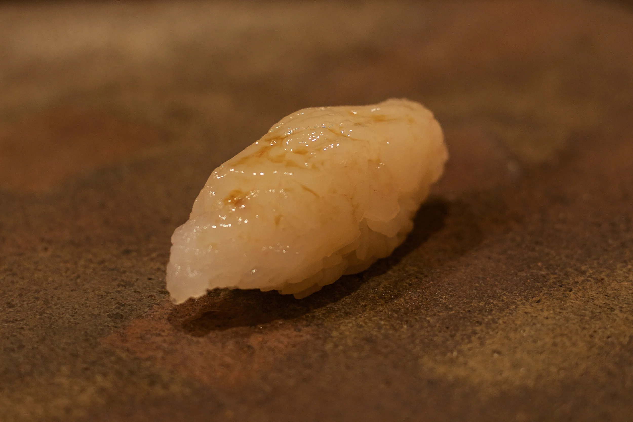 9-shiro-ebi.jpg