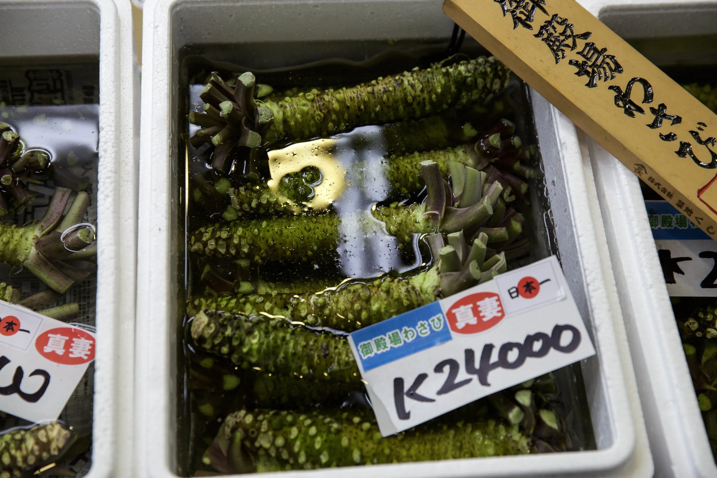 wasabi1.jpg