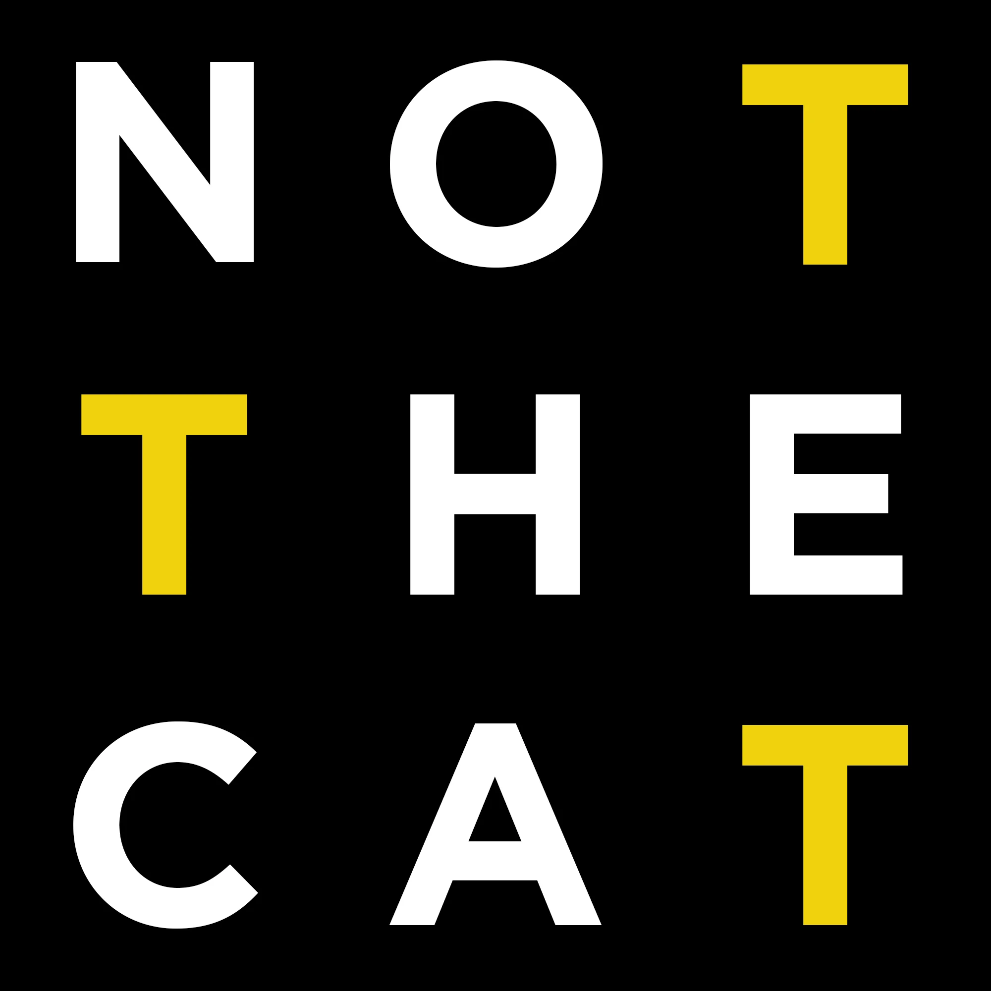 NOT THE CAT LOGO big.jpg