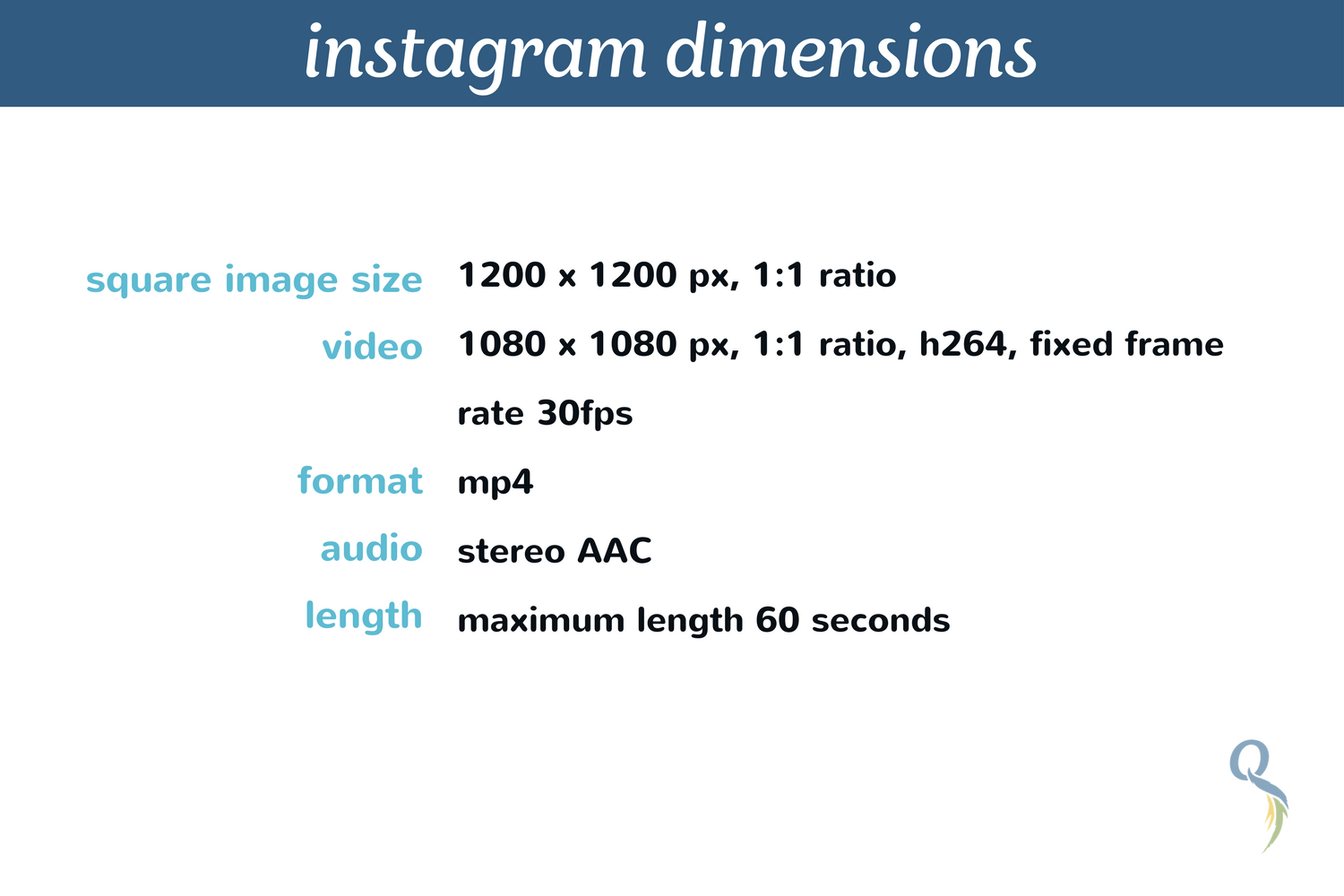 instagram dimensions.png