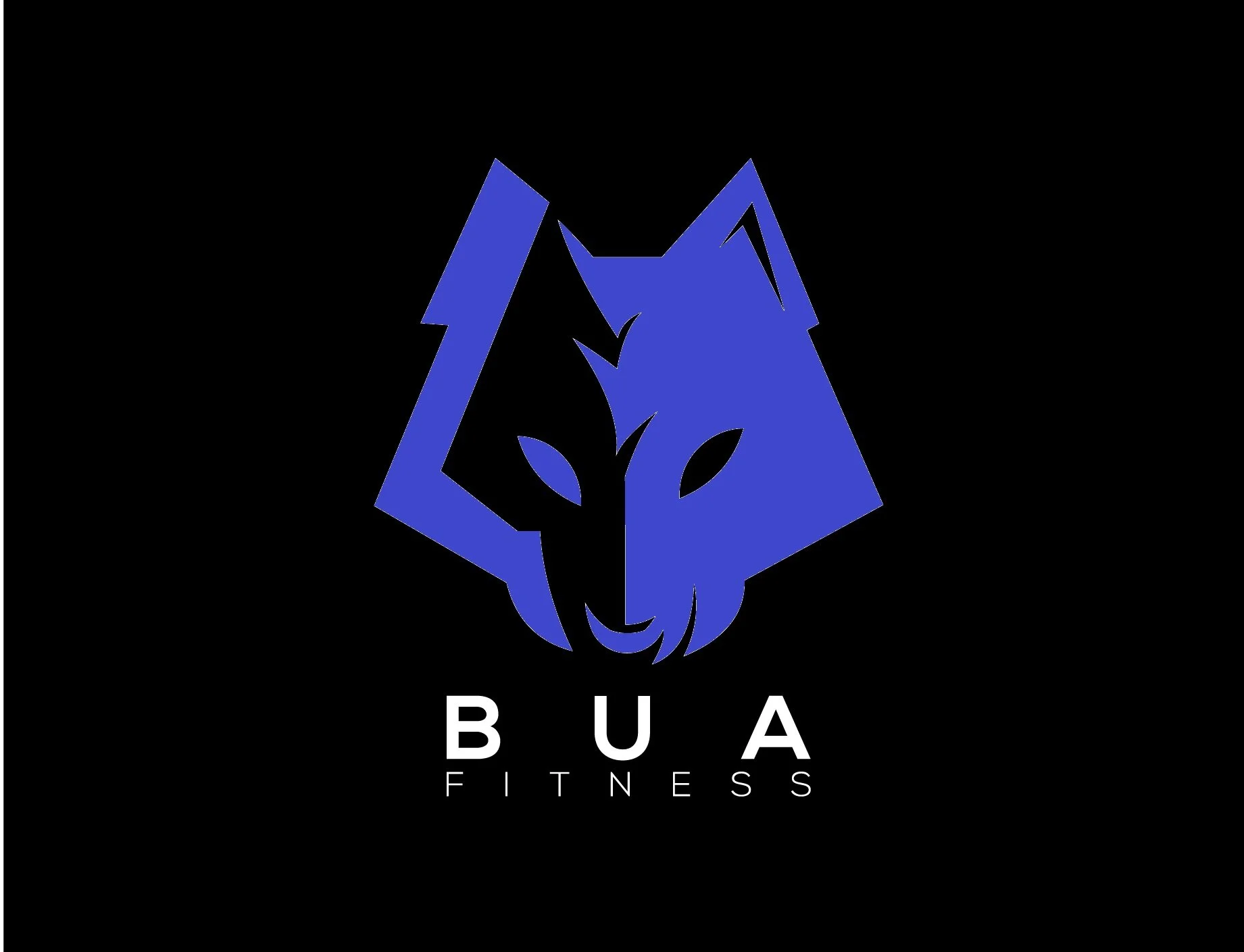 bua blue.jpg