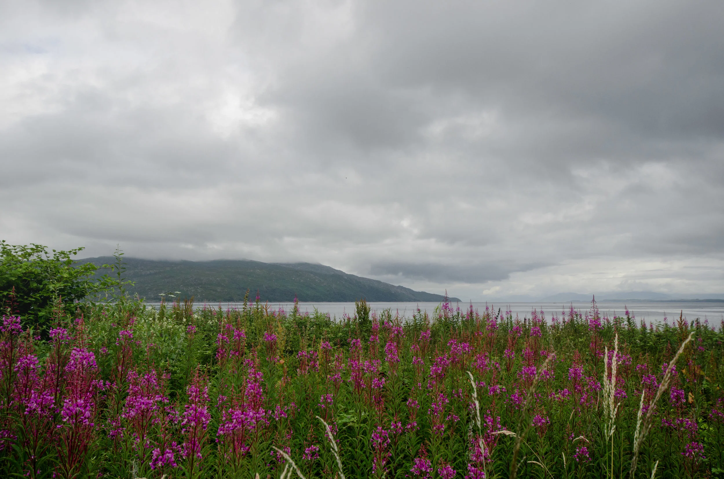 ScotlandGal.-25.jpg