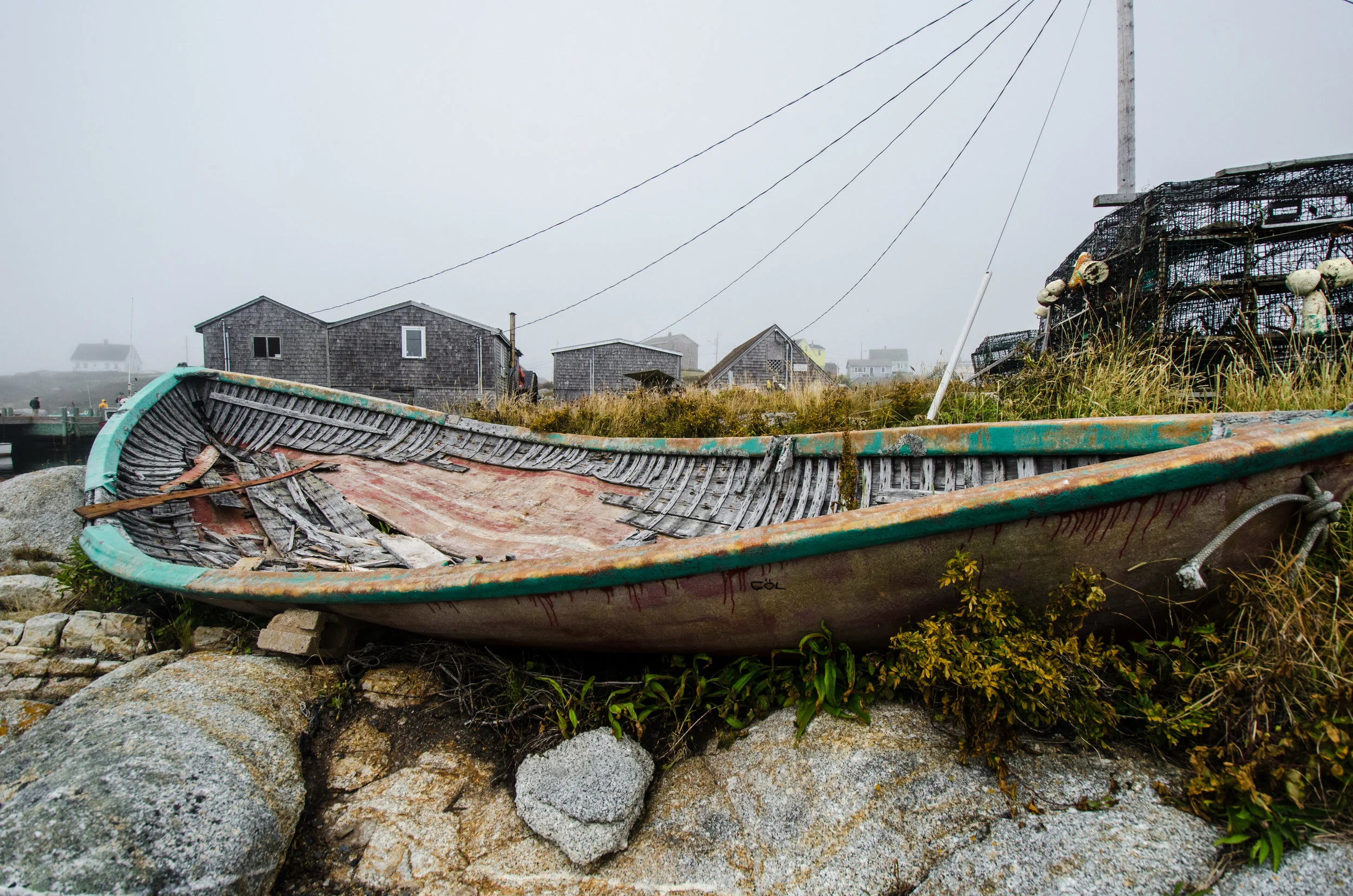 DSC_7986.jpg