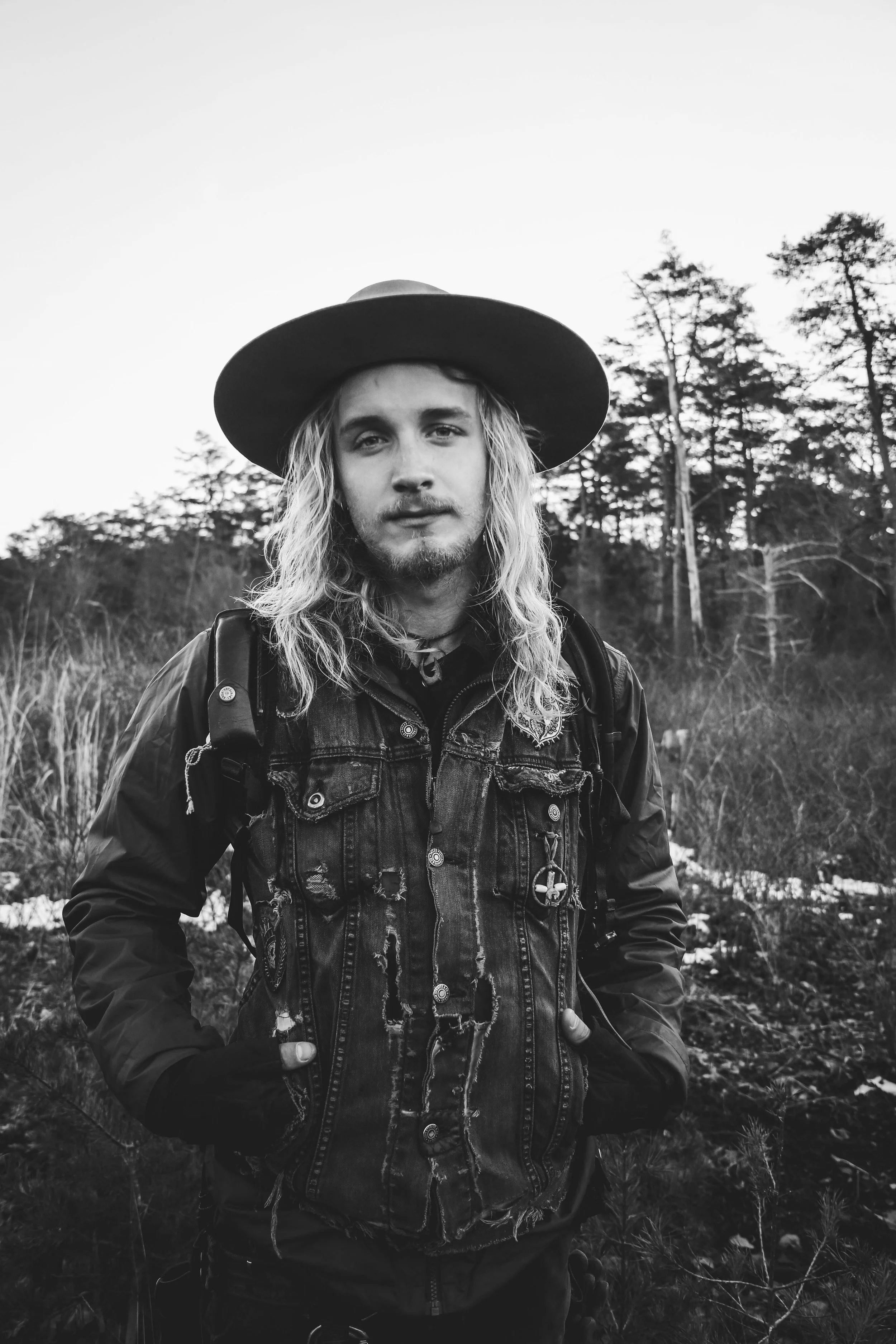 the woodlands: jesse