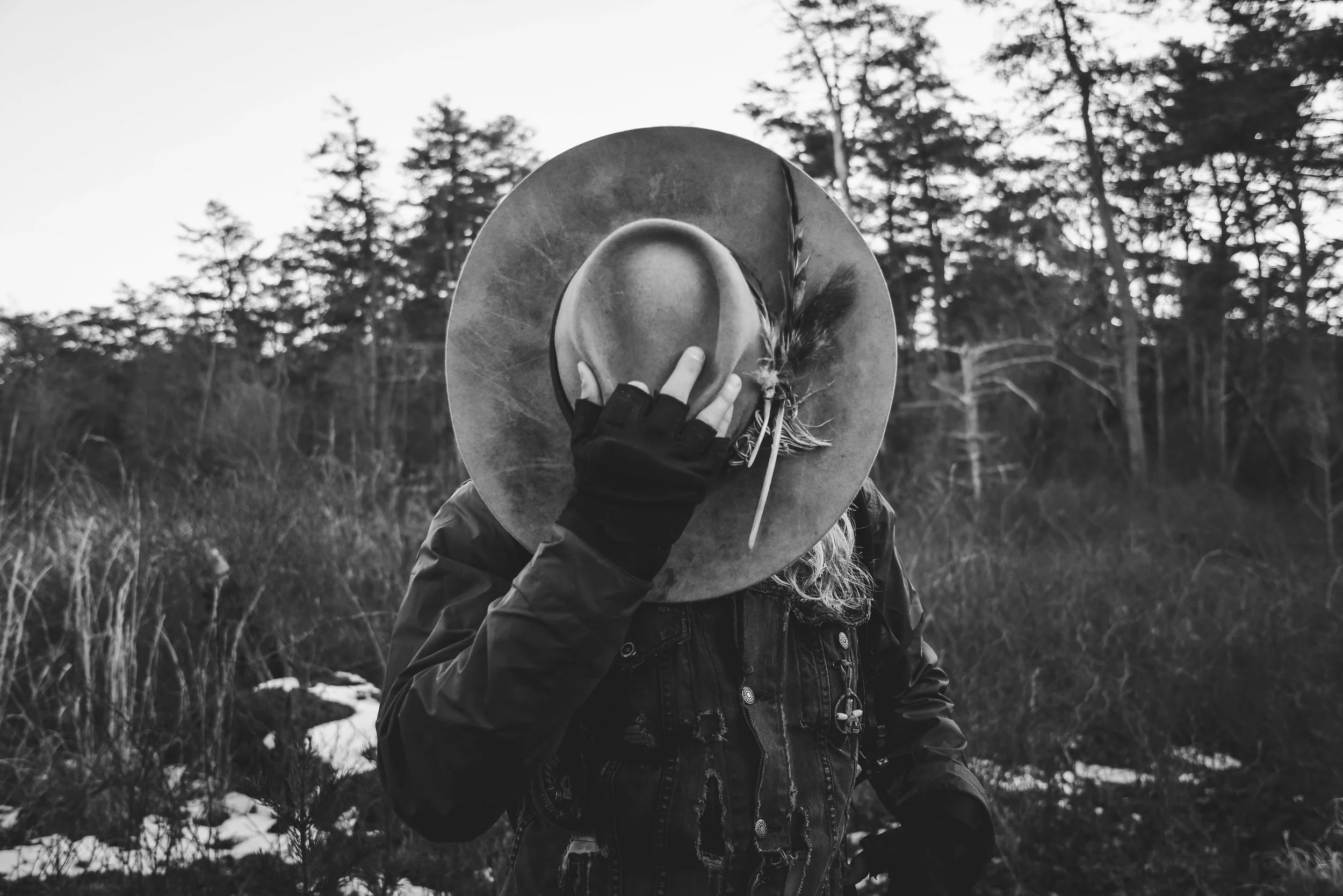 the woodlands: untitled