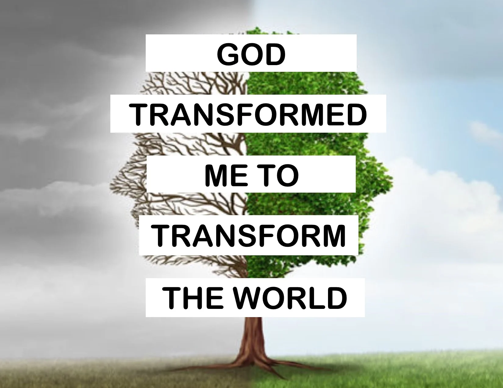 Current Sermon Series: Transformed