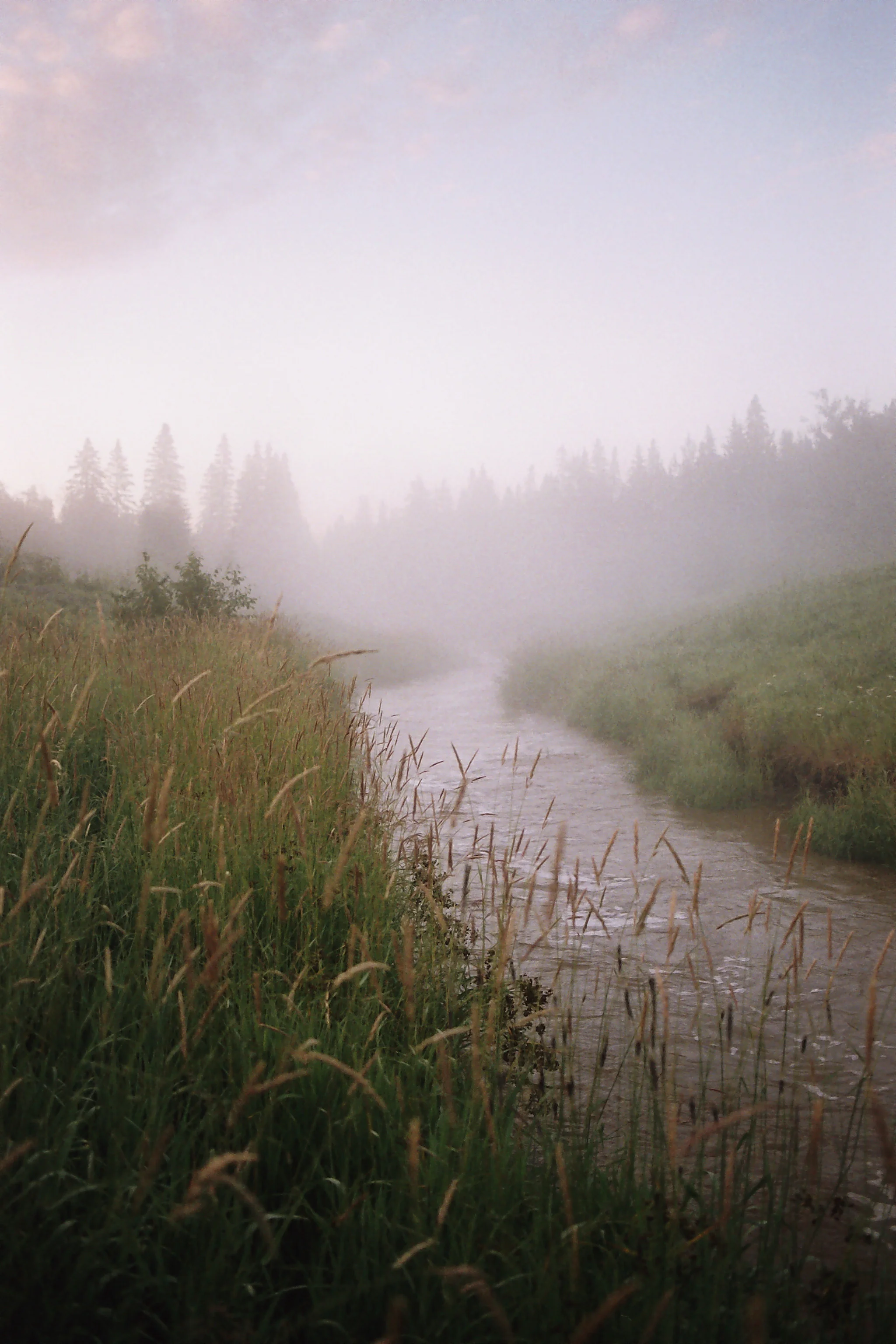r001-004.jpg