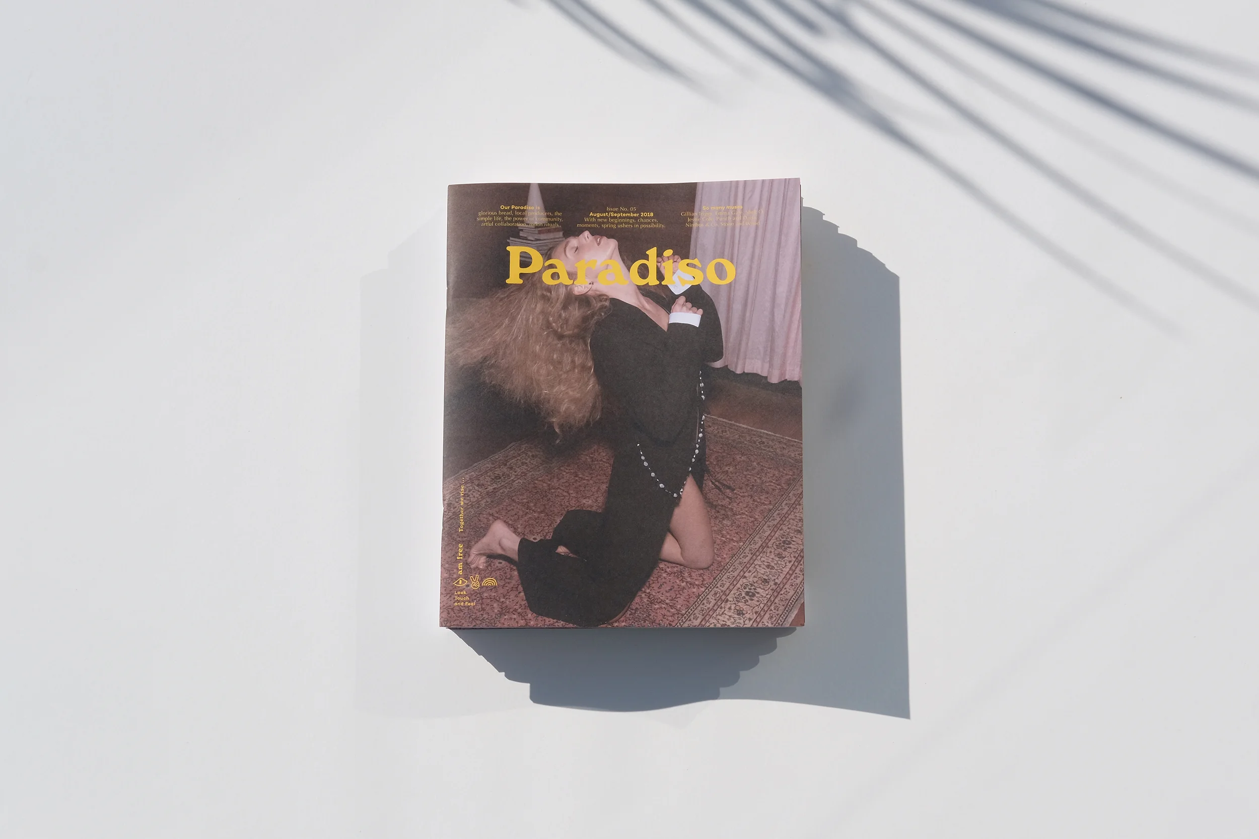 PM05-mag-14.jpg