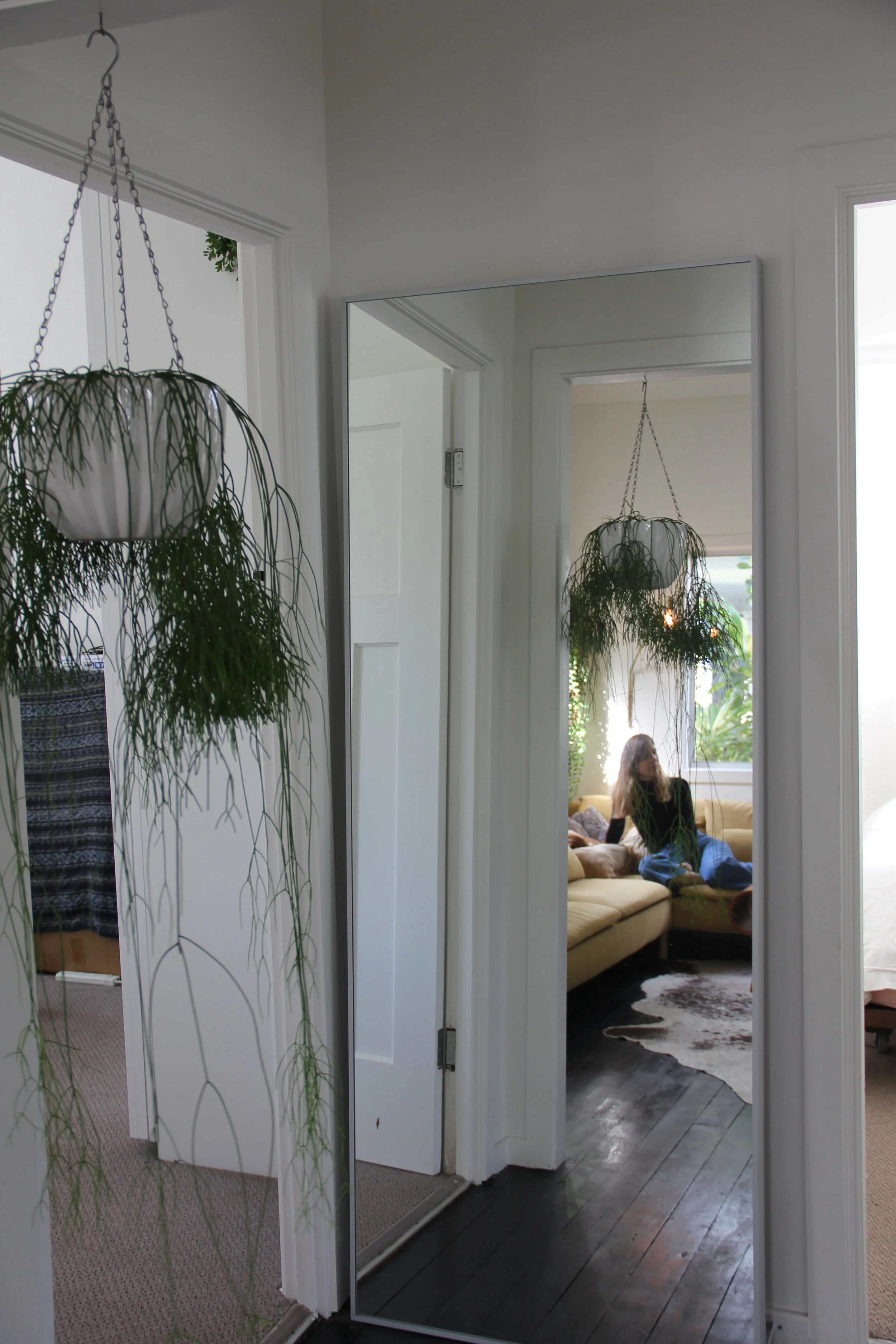 Trees of green, skies of blue 