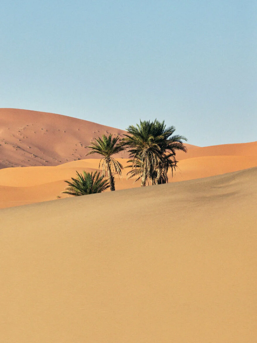 Lanzarote to the Sea