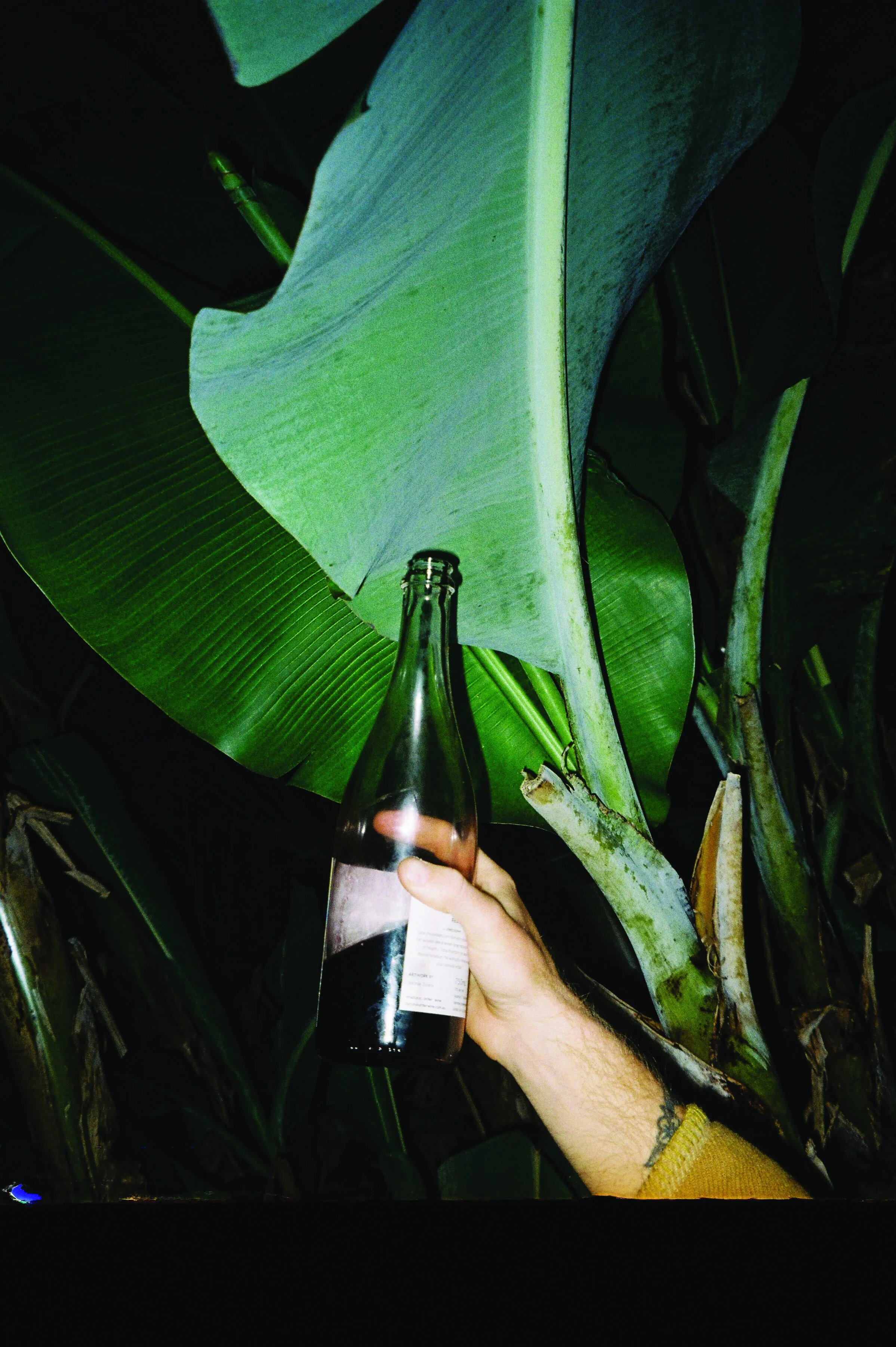 I Drink,  Therefore I Am