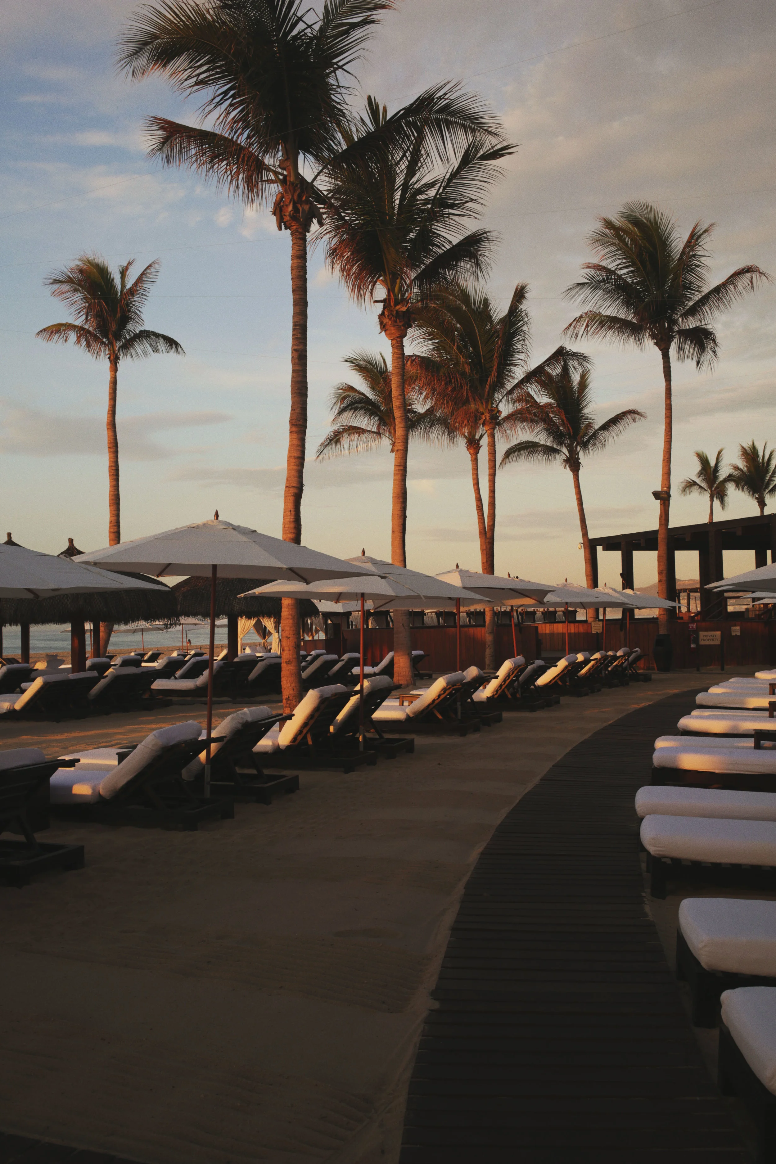 Sunset Cabo San Jose