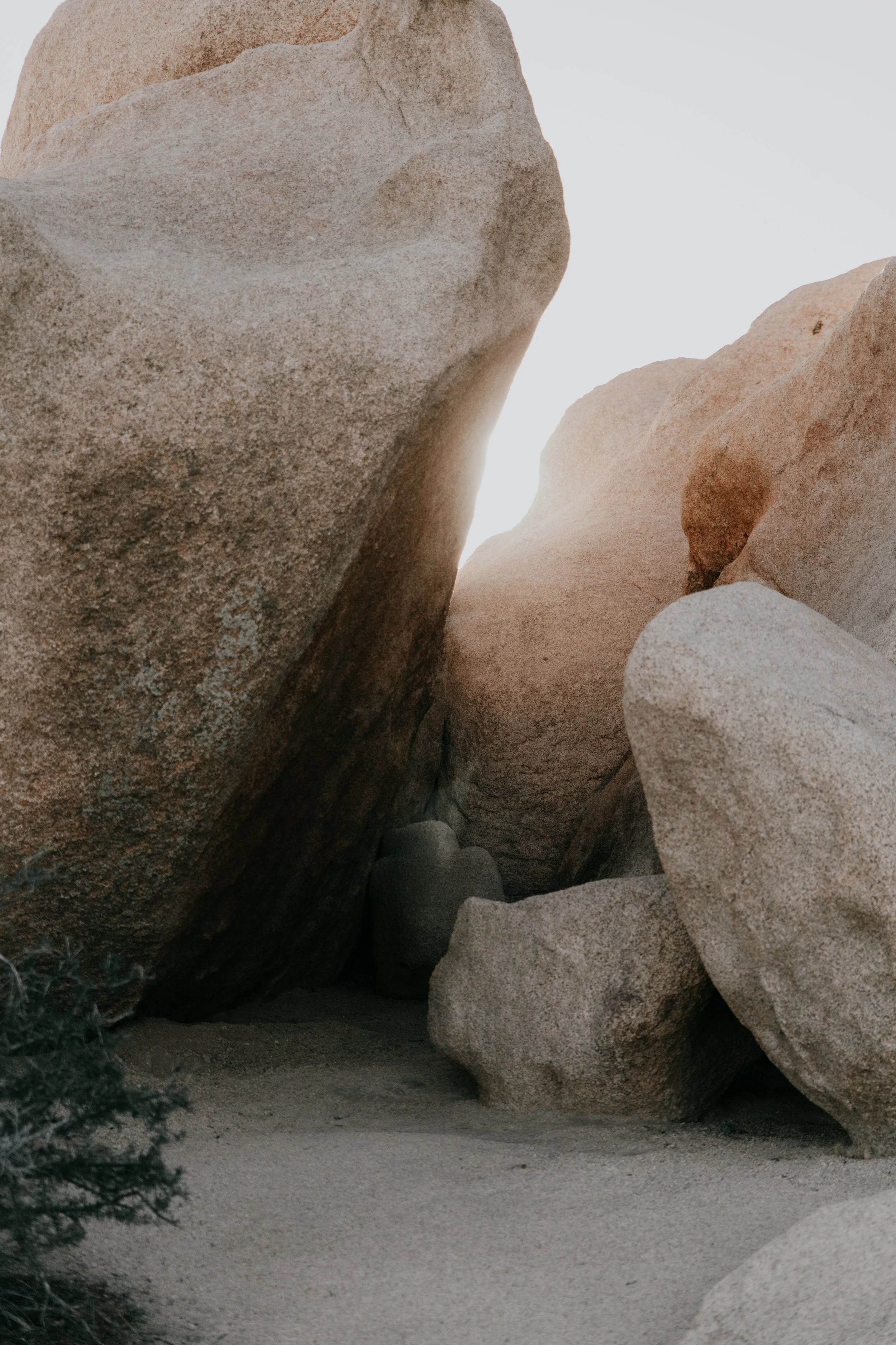 Joshua Tree National Park