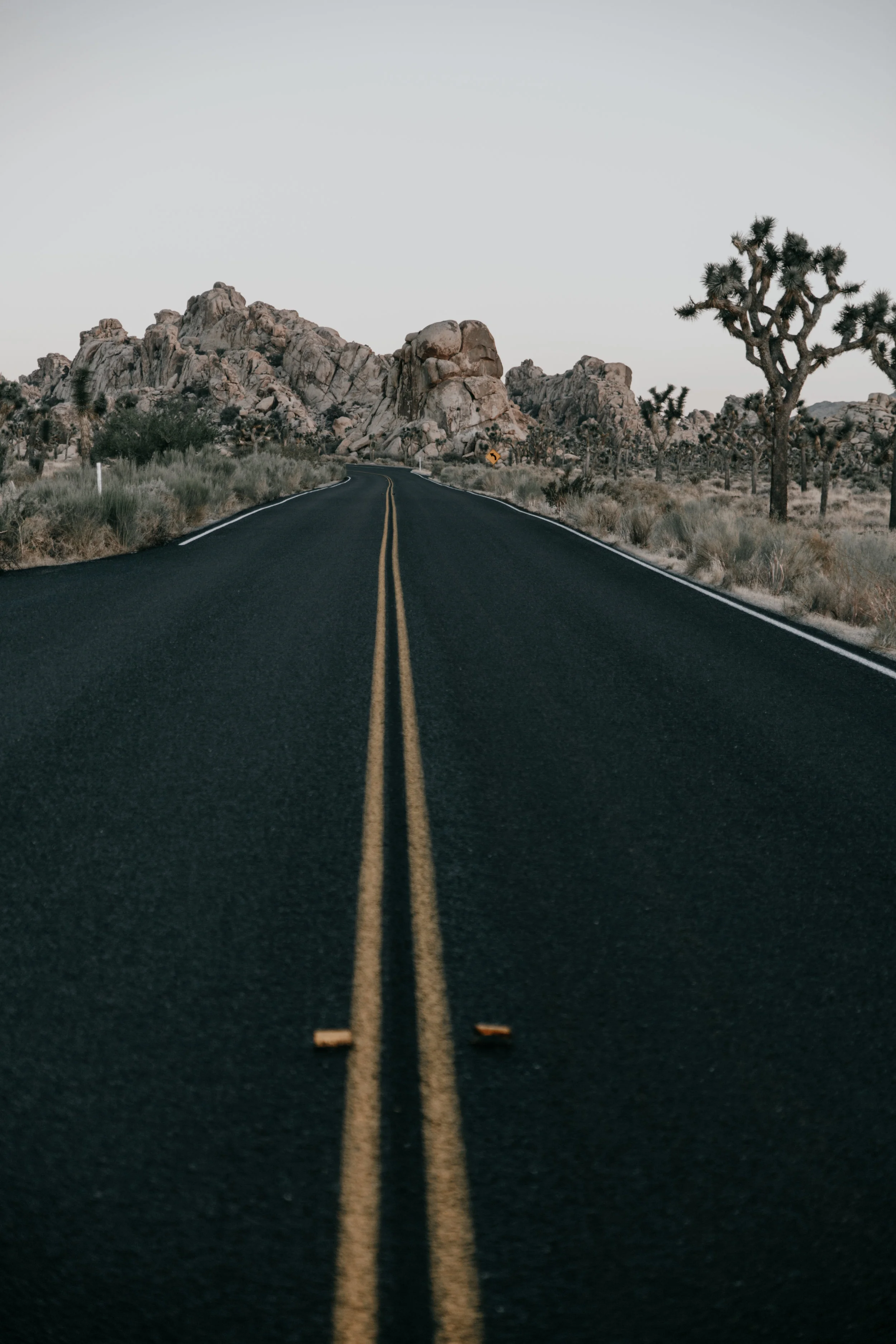 Open roads | J Tree National Park