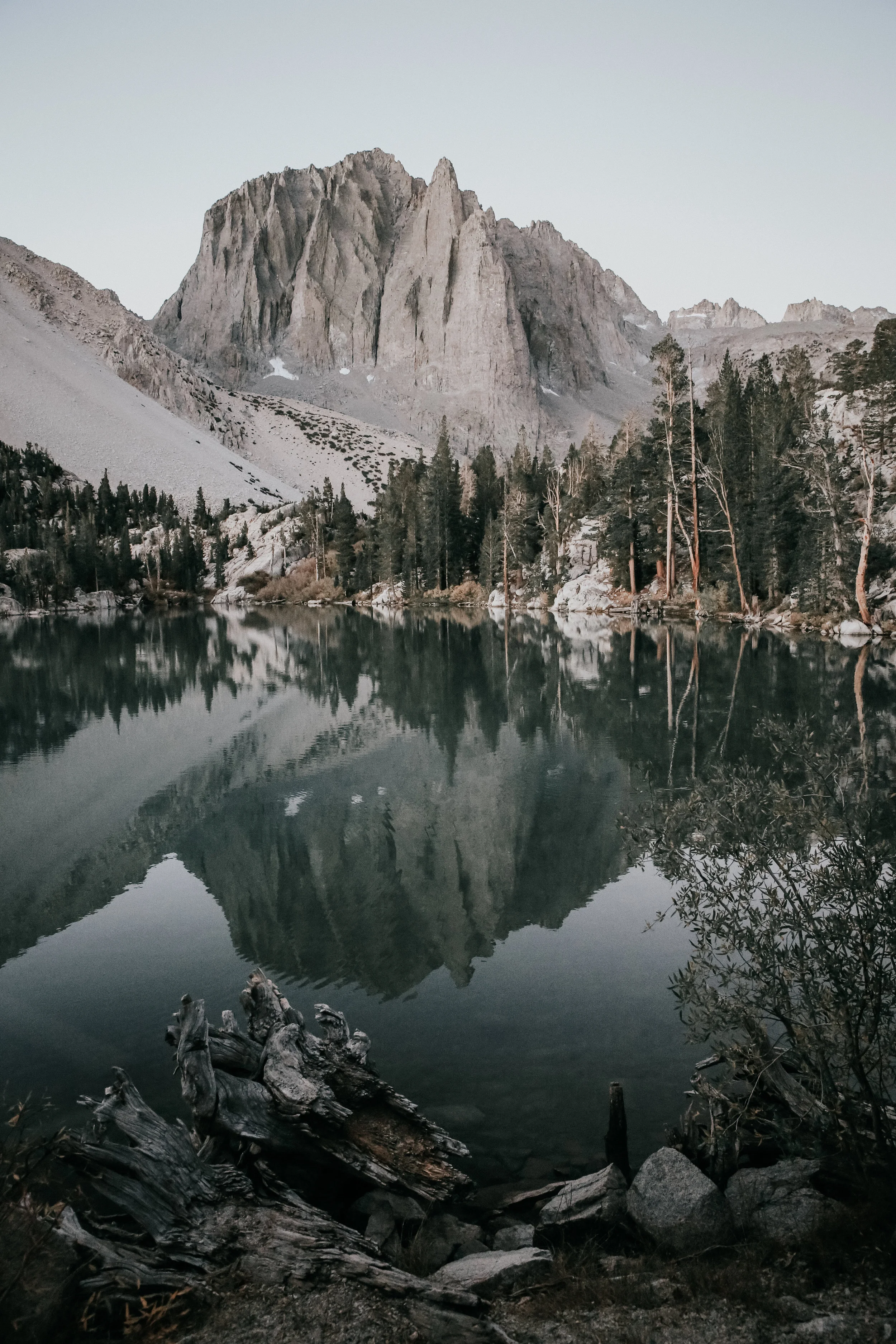 Morning views in the Sierras