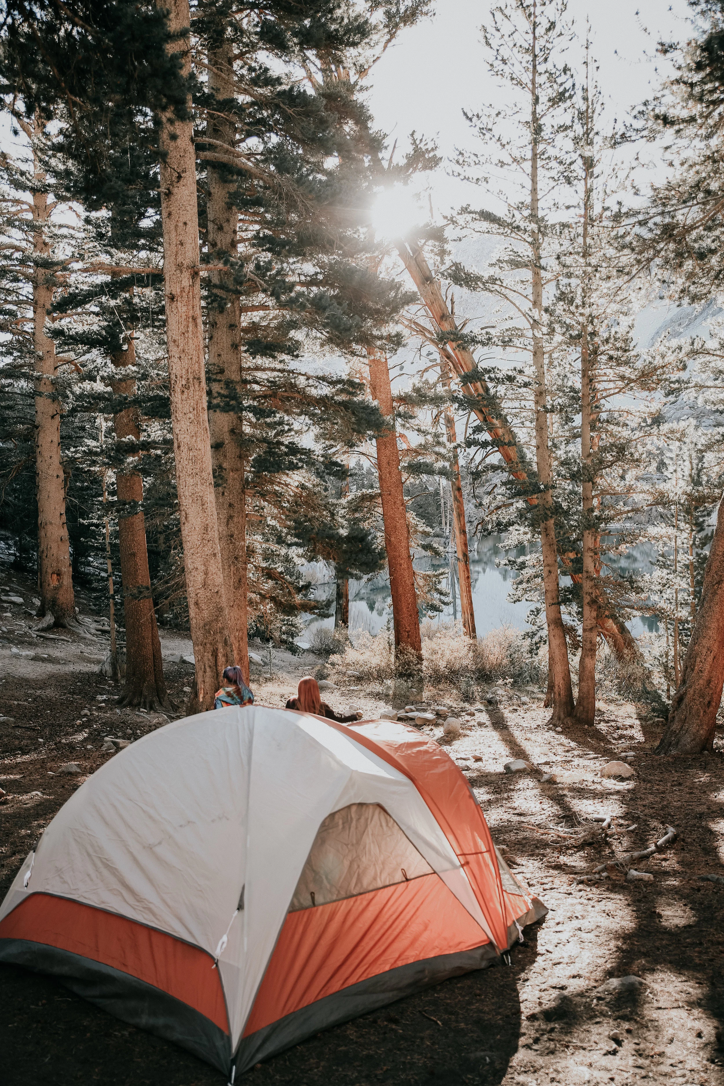 Tent camping - Sierra National Forest