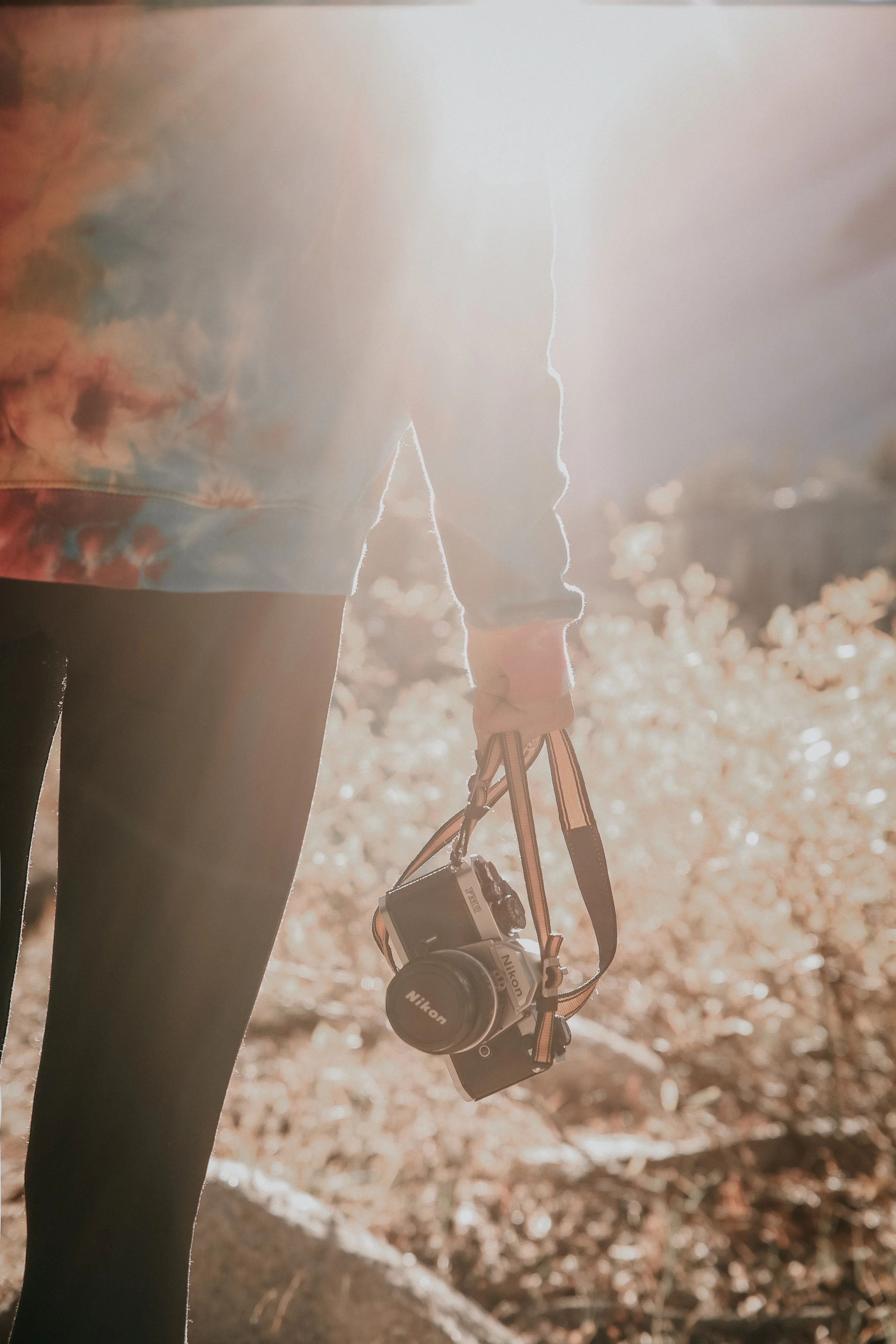 Sunrise in the mountains