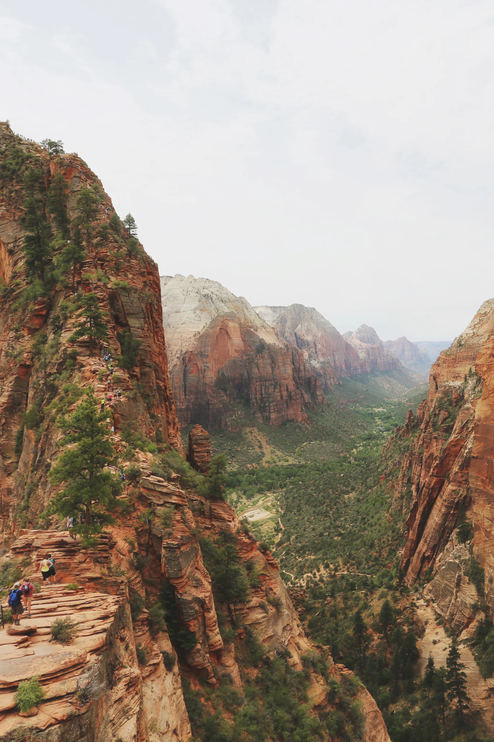 zion national park
