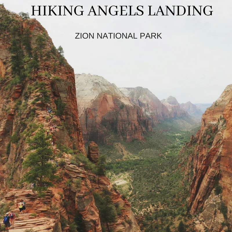 Angels landing