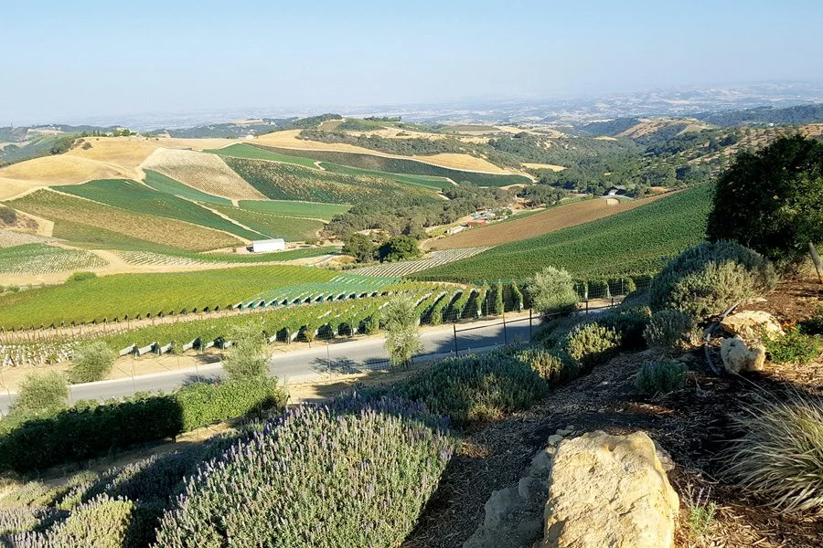 daouwinery.jpg