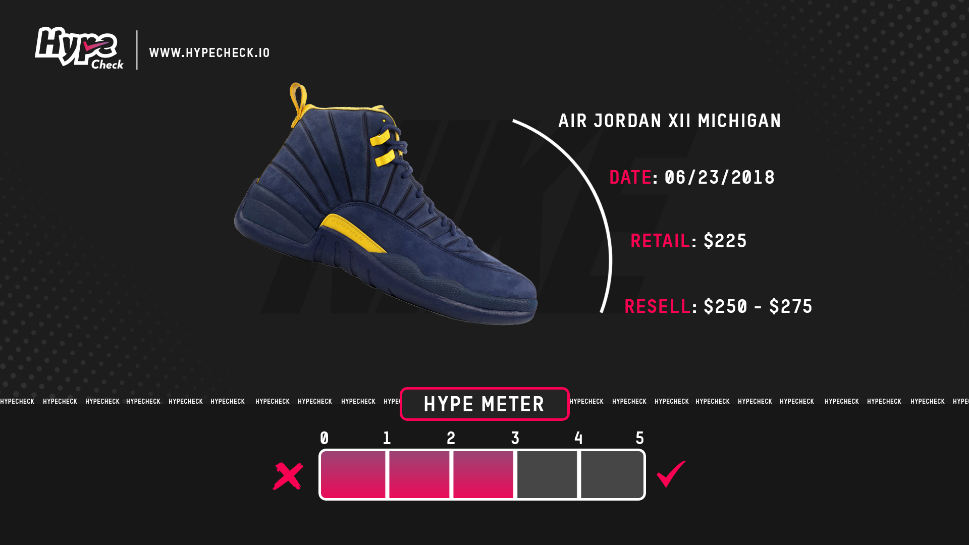 Michigan 12 - Hypecheck