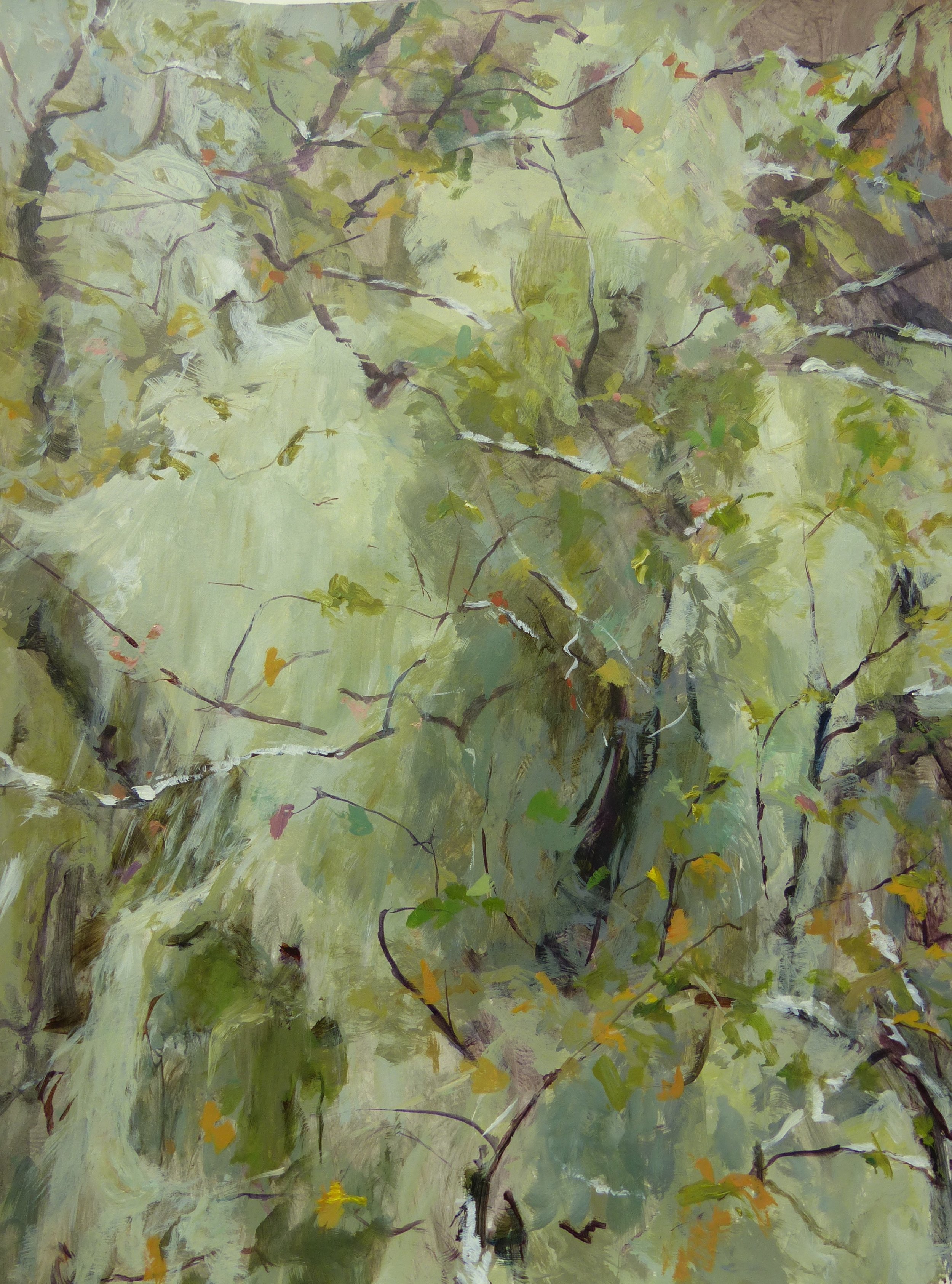 Mussel Inlet Mosses
