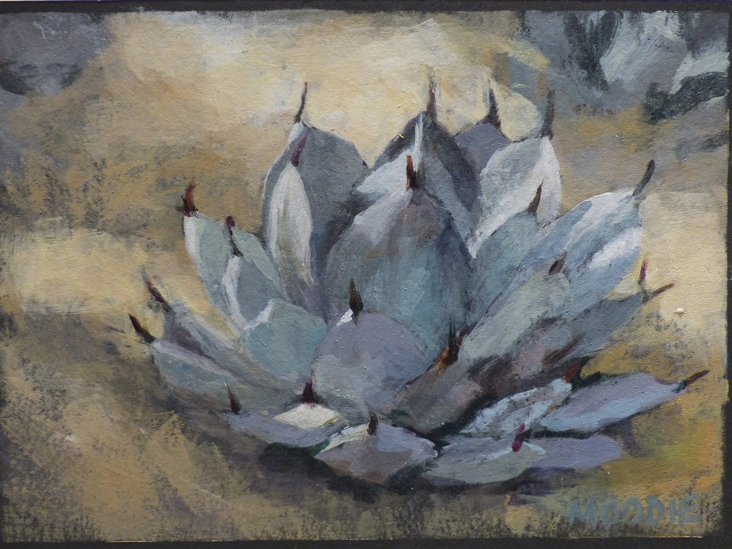 SOLD - Agave