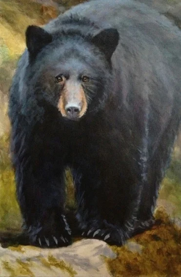 Sold - Bear Walk