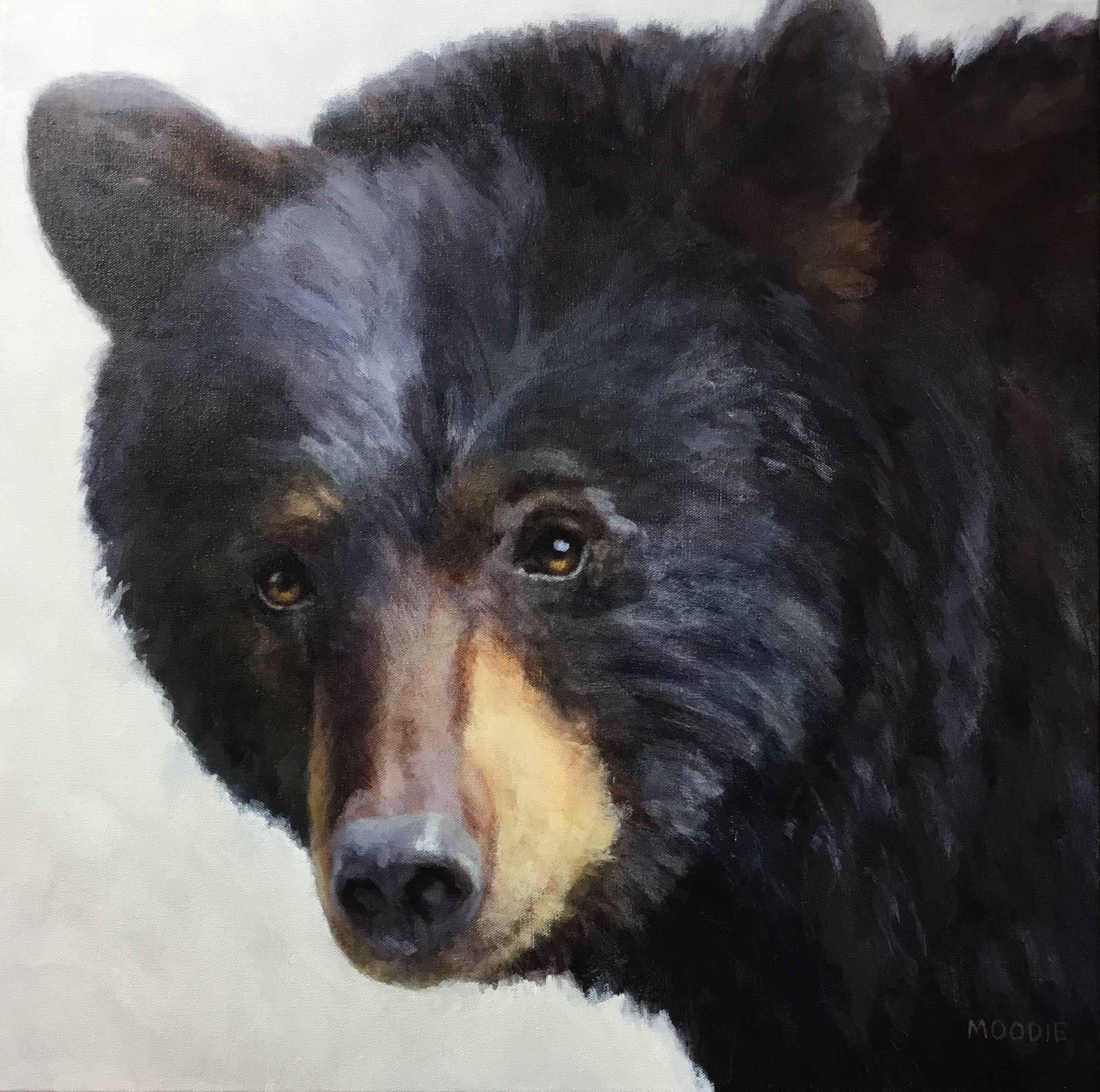 Sold - Black Beauty
