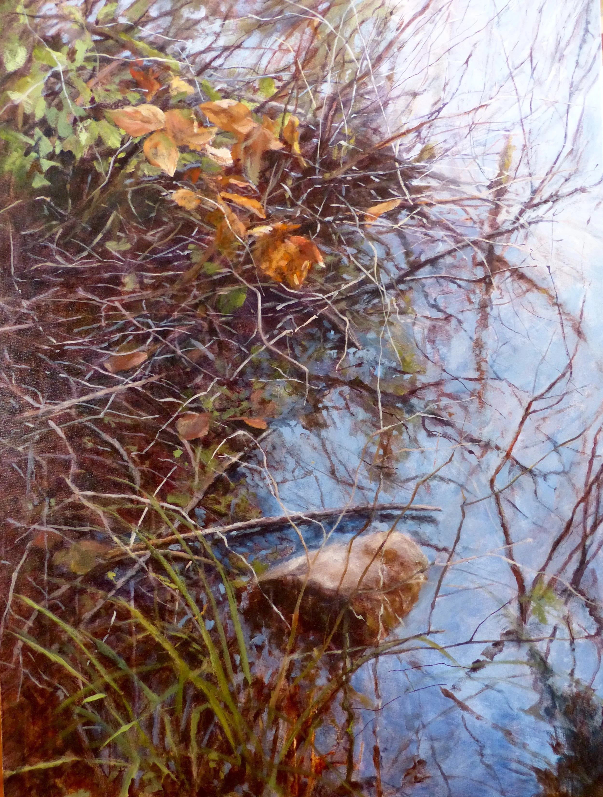Sold - Smuggler Cove Beaver Pond