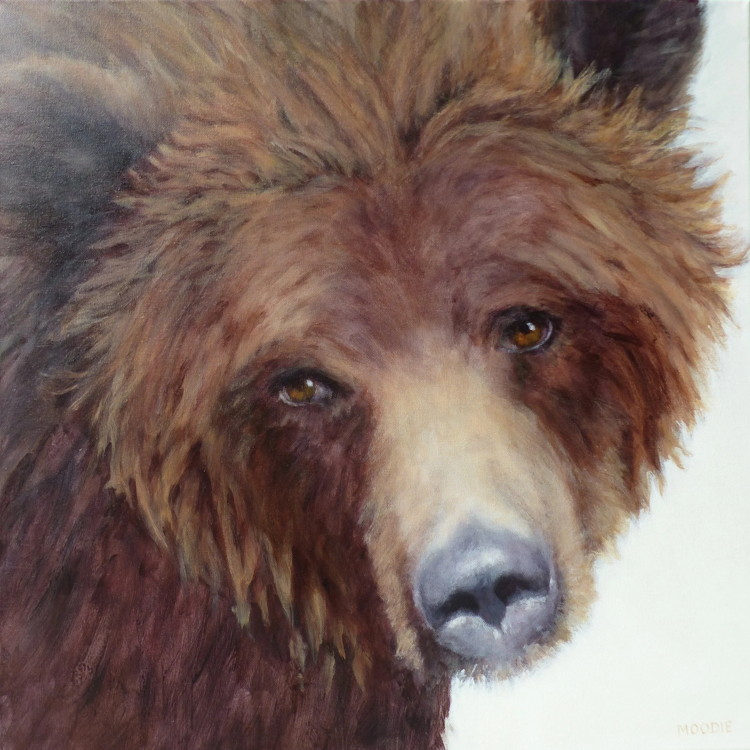 Sold - Charmer