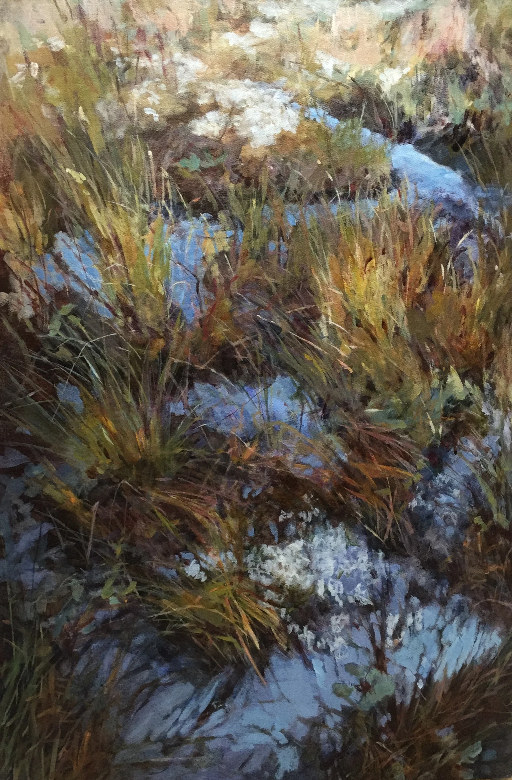 Klemtu Bog