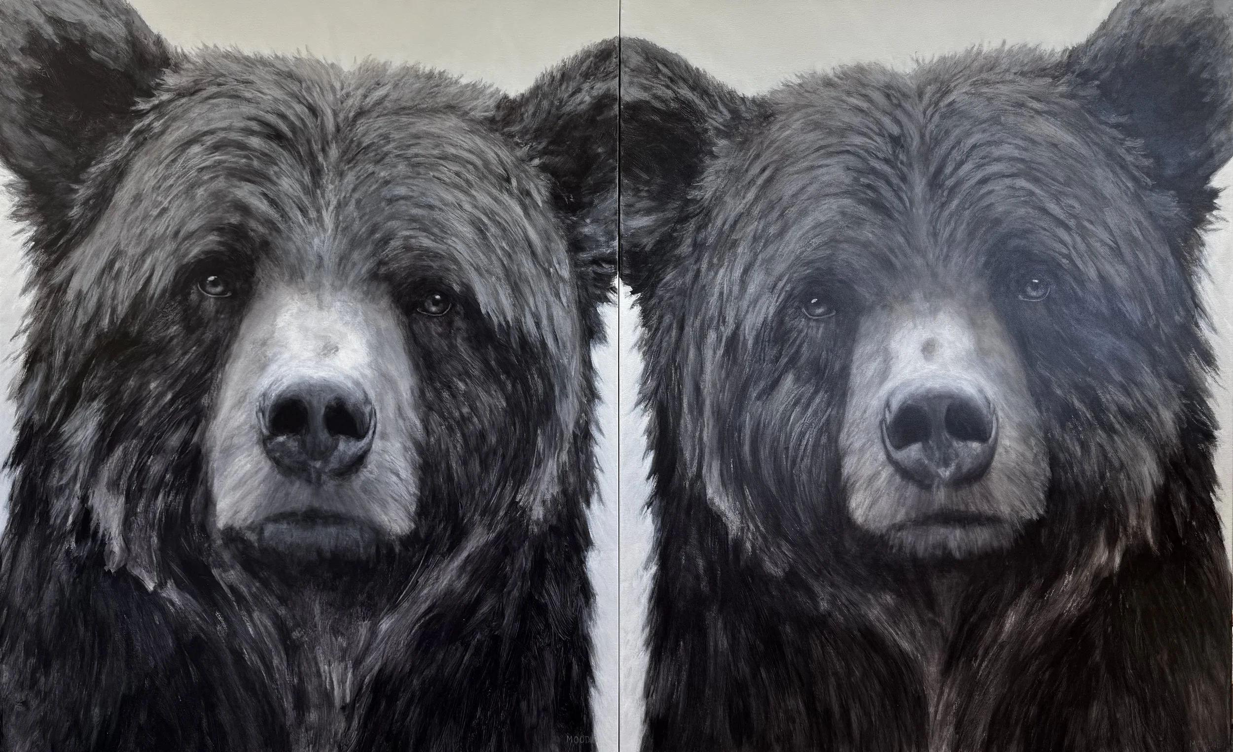 Twins, Alpha and Beta, 60x96" (60x48 ea)


