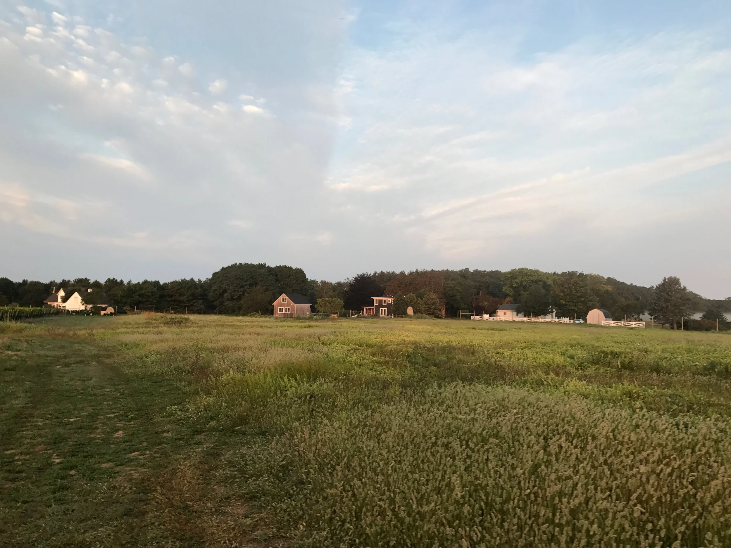 IMG_1043.jpg