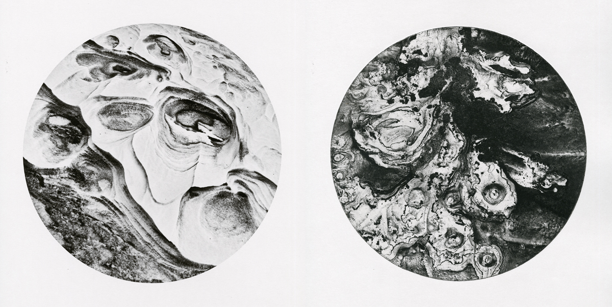 Observation and Reaction III