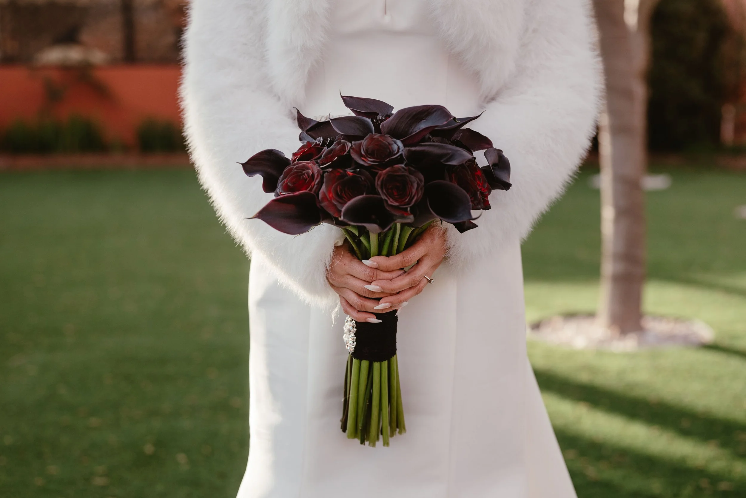 Marisa _Mojica _DSC_5264 (1).jpg