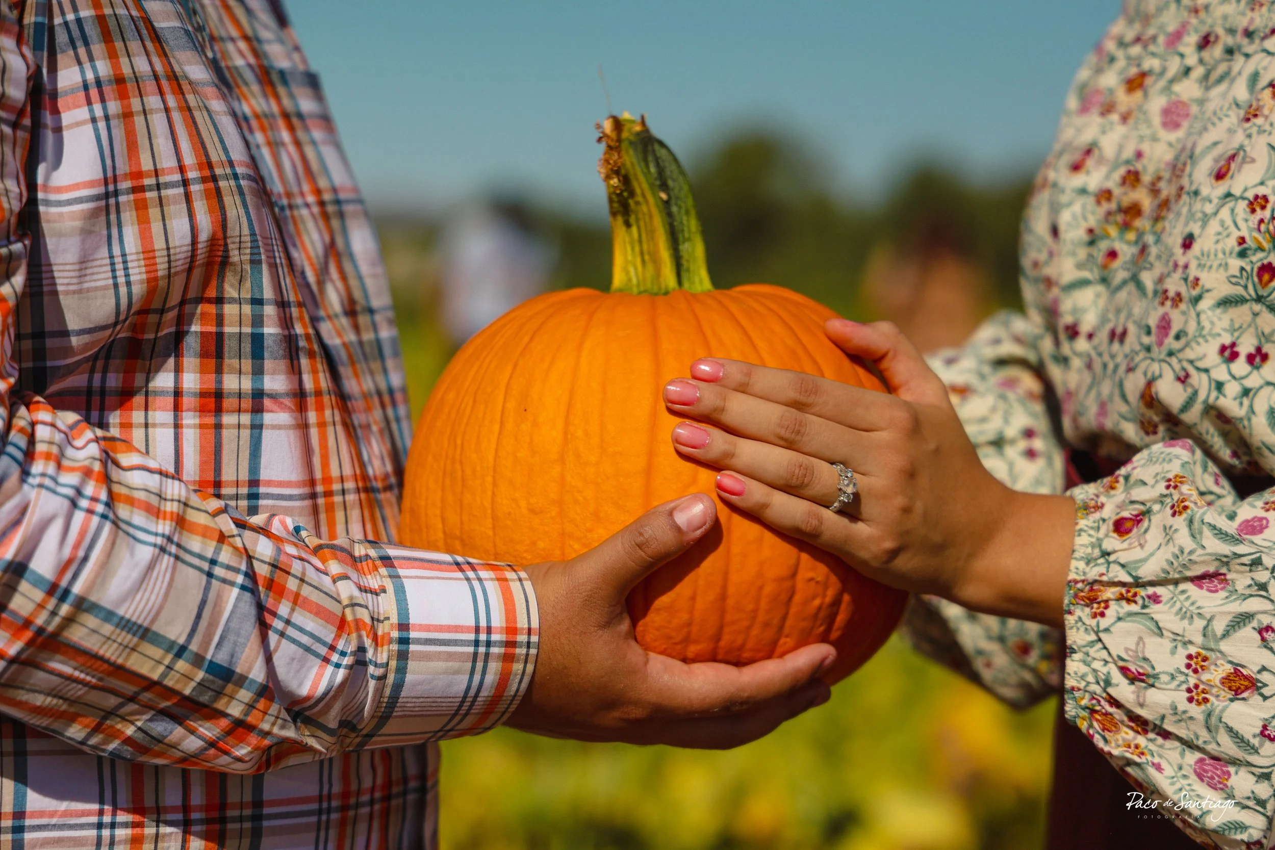 Marisa _Mojica _Casual-41.jpg