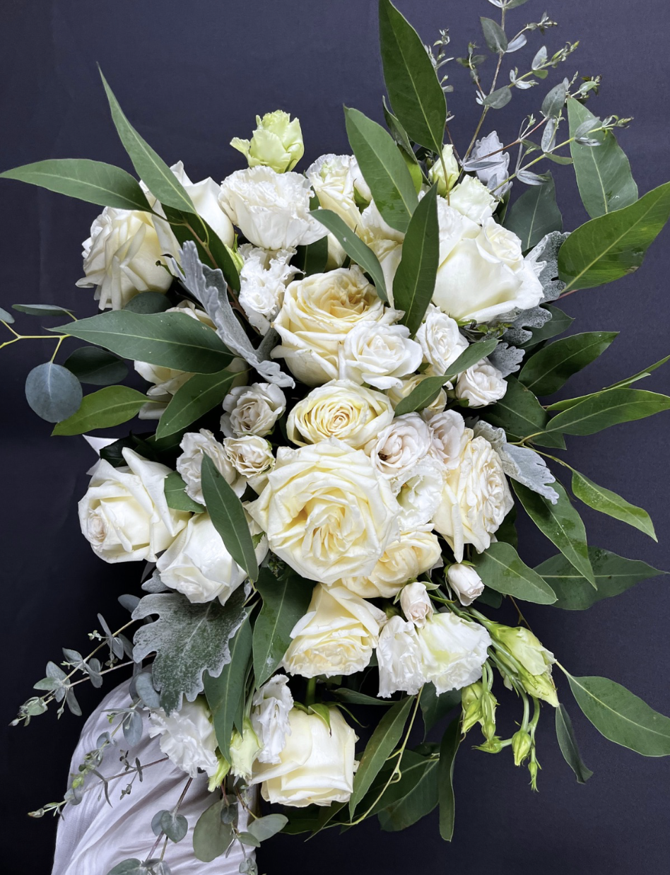 Viridiana _Rascón_Petalia 2.png