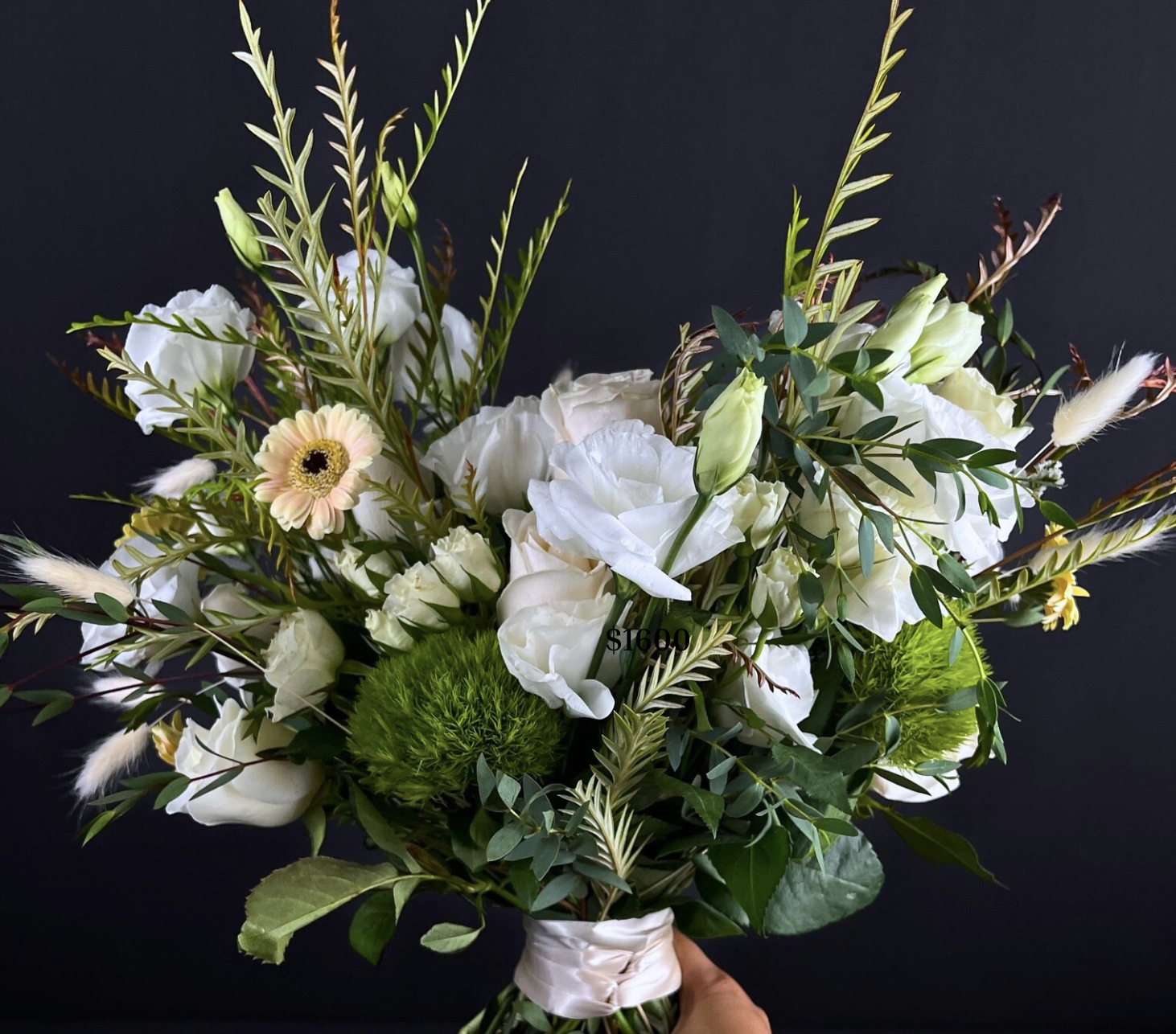 Viridiana _Rascón_Petalia 1.png