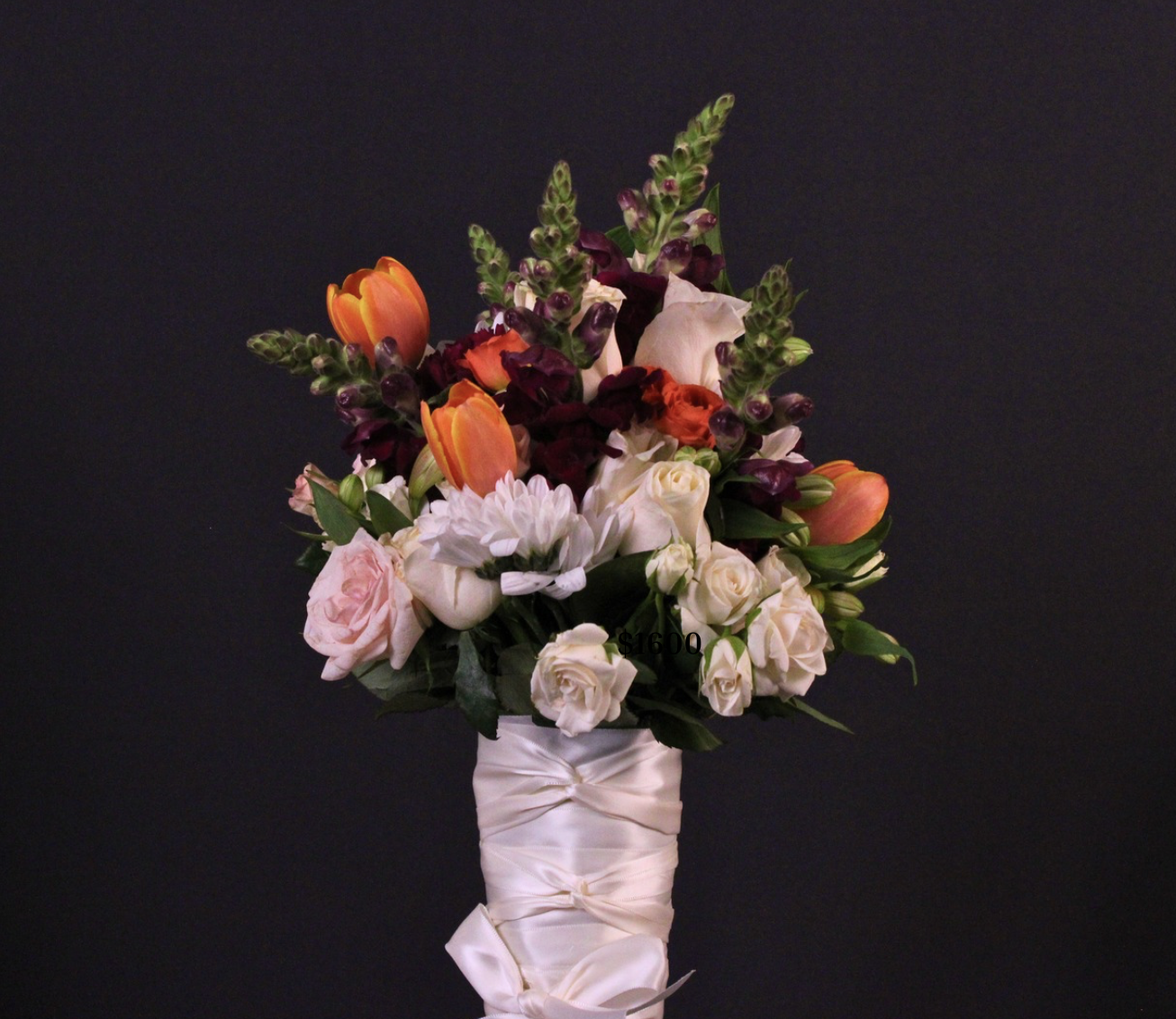 Viridiana _Rascón_Petalia 4.png