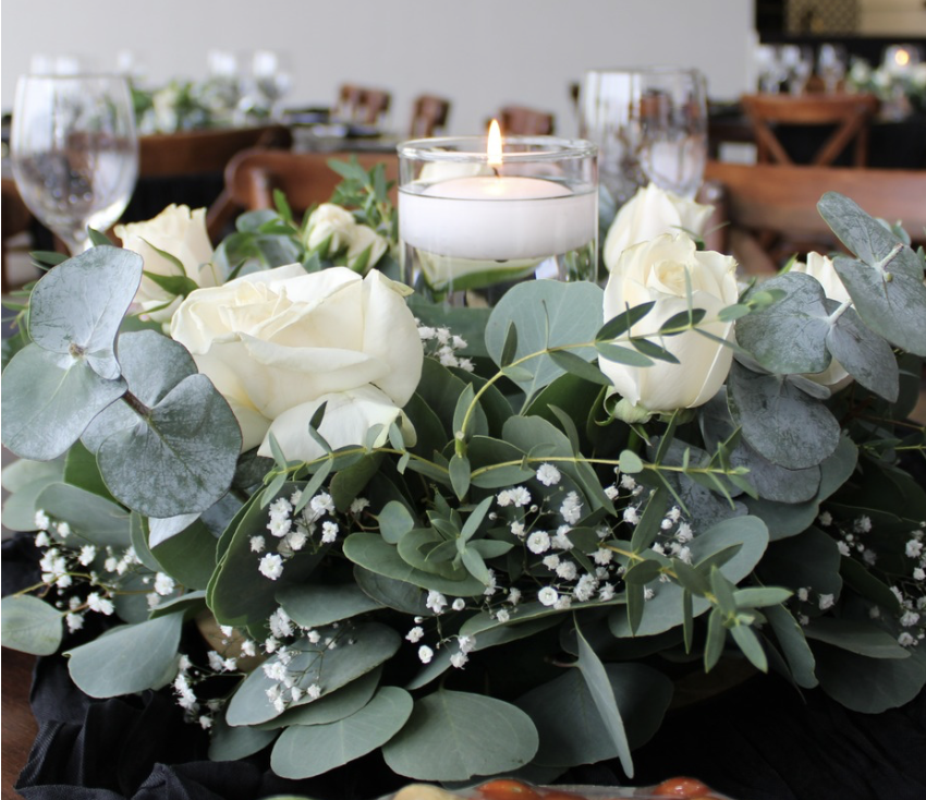 Viridiana _Rascón_Petalia 5.png