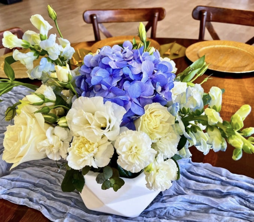 Viridiana _Rascón_Petalia 6.png