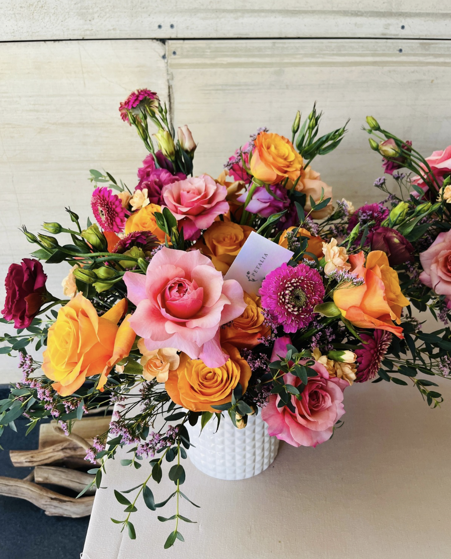 Viridiana _Rascón_Petalia 7.png