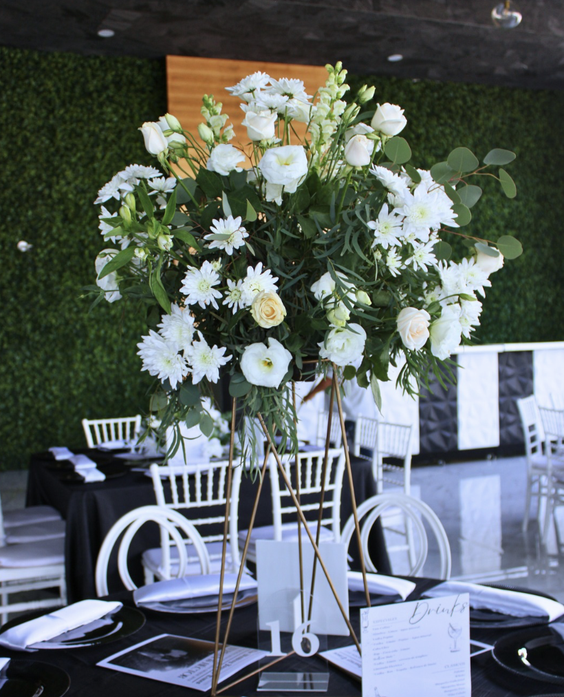 Viridiana _Rascón_Petalia 8.png