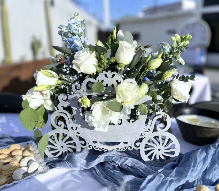 Viridiana _Rascón_Petalia 11.png