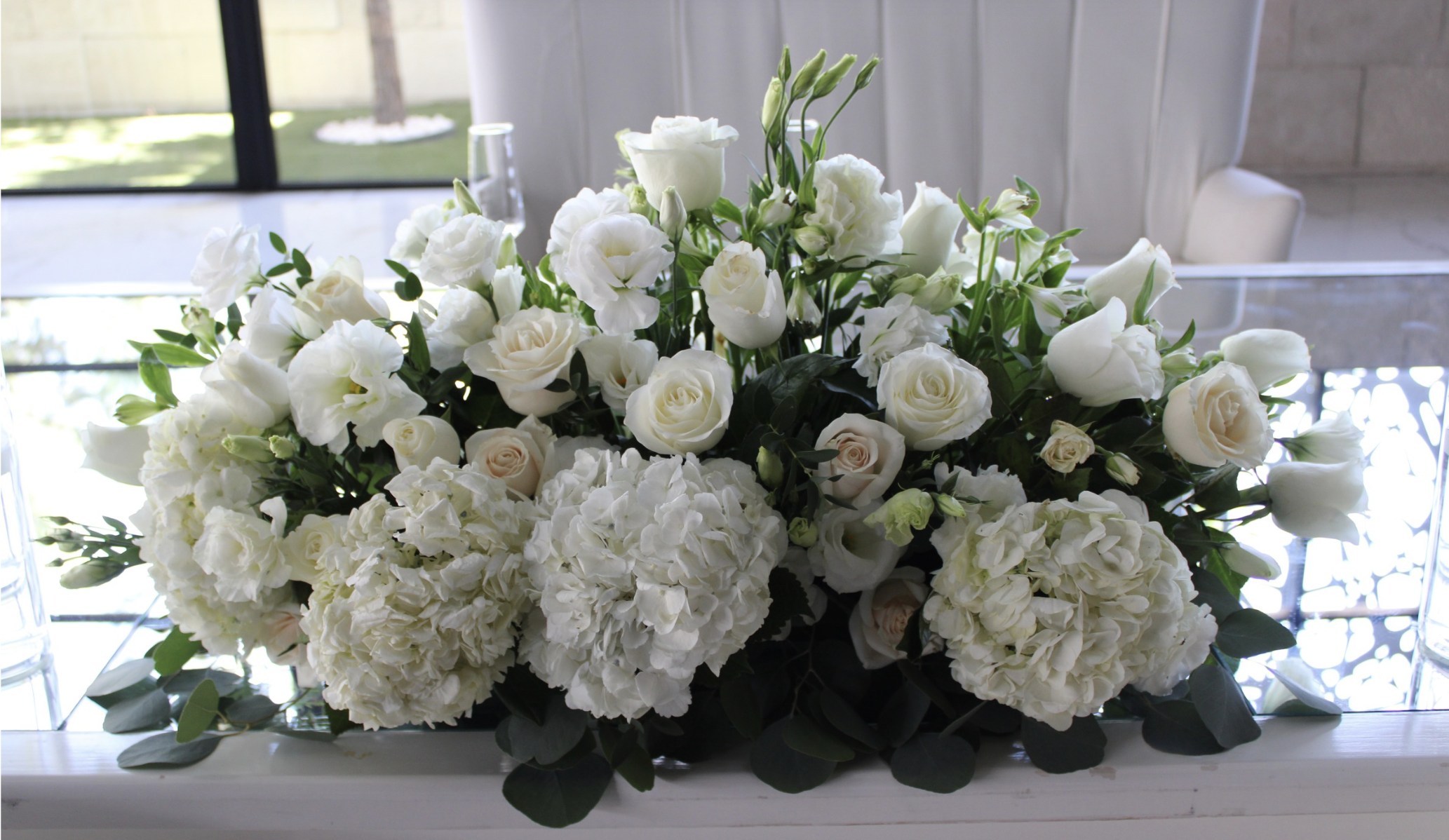 Viridiana _Rascón_Petalia 10.png