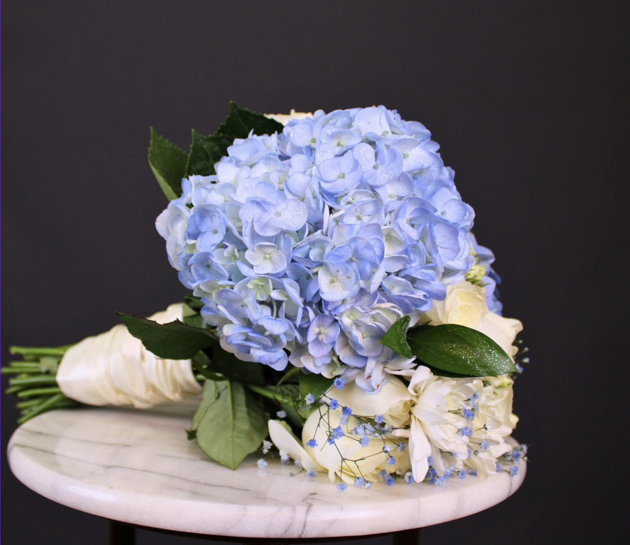 Viridiana _Rascón_Petalia 12.png