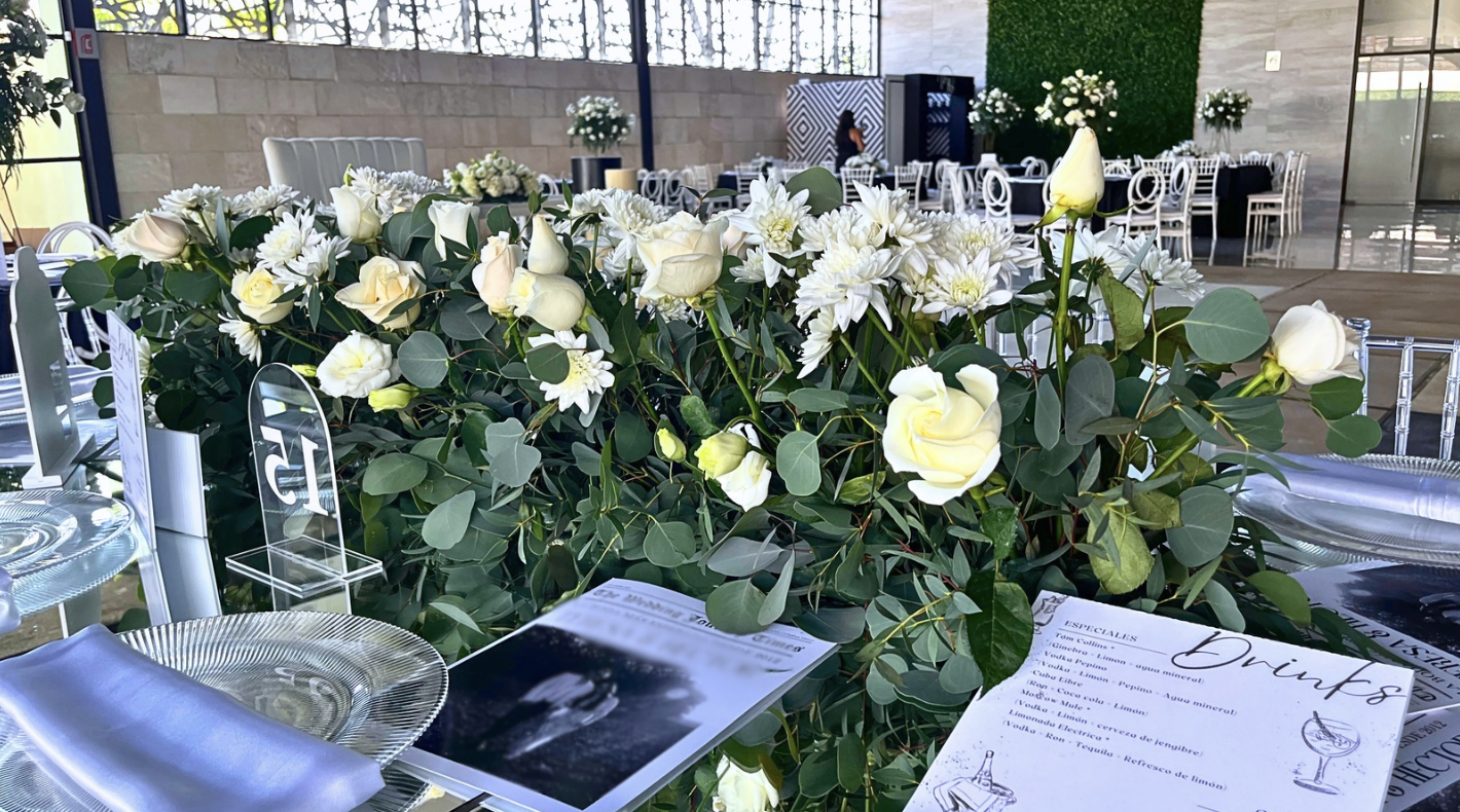 Viridiana _Rascón_Petalia 13.png