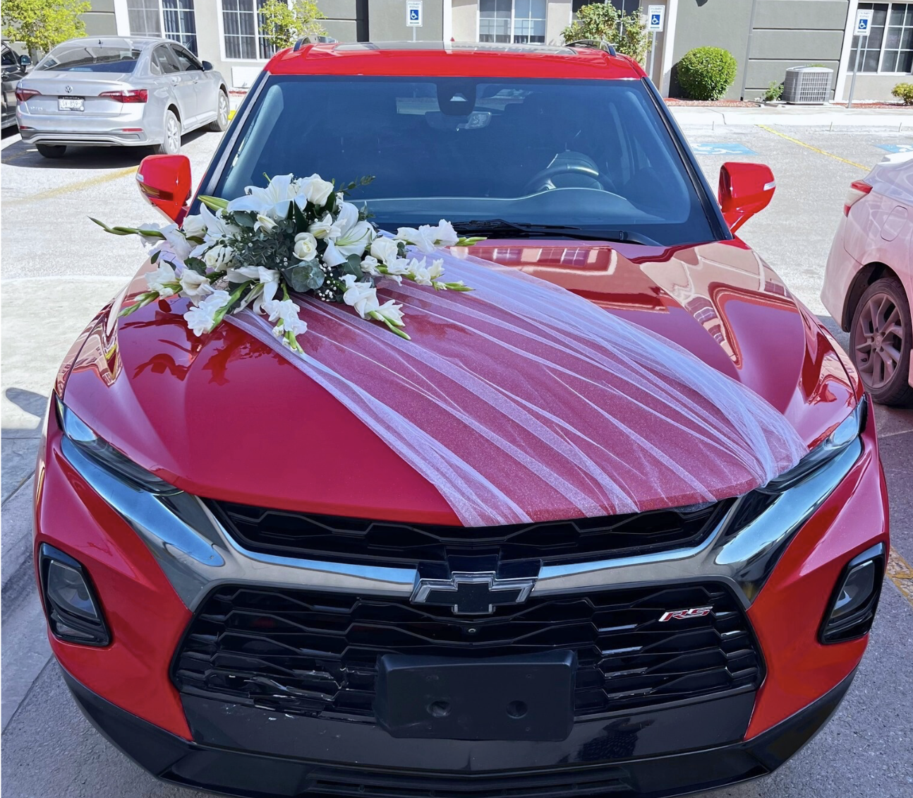 Viridiana _Rascón_Petalia 14.png