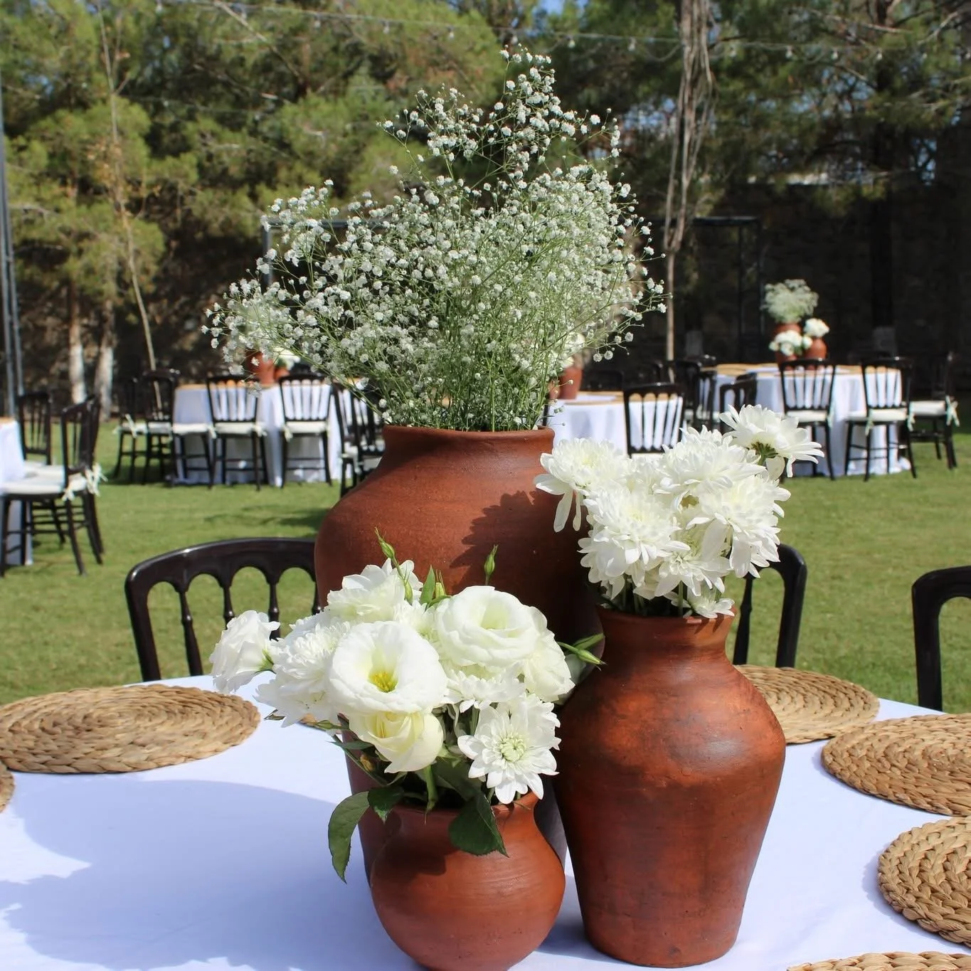 Viridiana _Rascón_Petalia 17.JPG